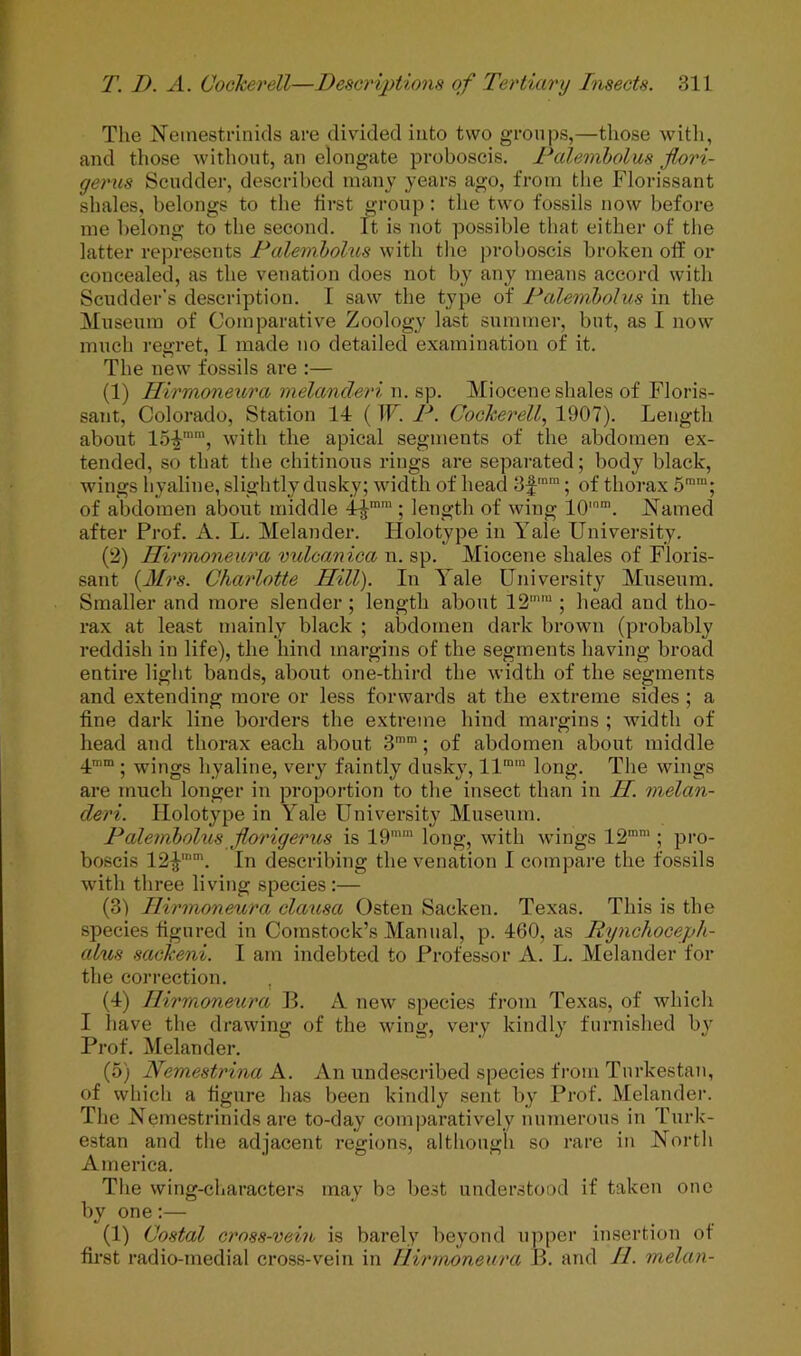 The Neinestrinids are divided into two groups,—those witli, and those without, an elongate proboscis. Dalembolus flori- gex'us Scudder, described many years ago, from the Florissant shales, belongs to the first i>-roup: the two fossils now before me belong to the second. It is not possible that either of the latter represents Dalemhohis with the proboscis broken off or concealed, as the venation does not by any means accord with Scndder’s description. I saw the type of Palemholus in the Museum of Comparative Zoology last summer, but, as 1 now much regret, 1 made no detailed examination of it. The new fossils are :— (1) Hirmoneura melancleri n. sp. Miocene shales of Floris- sant, Colorado, Station 14 ( IF. D. Cockerell., 1907). Length about 15-I'', with the apical segments of the abdomen ex- tended, so that the chitinous rings are separated; body black, wings hyaline, slightly dusky; width of head 3f; of thorax 5™“; of abdomen about middle 4^”™ ; length of wing 10'“. JN^amed after Prof. A. L. Melander. Ilolotype in Yale University, (2) Hirmoneura molcanica n. sp. Miocene shales of Floris- sant {Mrs. Charlotte Hill). In Yale University Museum. Smaller and more slender ; length about 12'“ ; head and tho- rax at least mainly black ; abdomen dark brown (probably reddish in life), the hind margins of the segments having broad entire light bands, about one-third the width of the segments and extending more or less forwards at the extreme sides ; a fine dark line borders the extreme hind margins ; width of head and thorax each about 3““; of abdomen about middle 4““ ; wings hyaline, very faintly dusky, 11““ long. The wings are much longer in proportion to the insect than in H. melan- deri. Ilolotype in Yale University Museum. Palemholus jiorigerus is 19““ long, with wings 12““ ; pro- boscis 12-^““. In describing the venation 1 compare the fossils with three living species :— (3) Hirmoneura clausa Osten Sacken. Texas. This is the species figured in Comstock’s Manual, p. 460, as Tiynchoceph- alus sackeni. I am indebted to Professor A. L. Melander for the correction. , (4) Hirmoneura B. A new species from Texas, of whicli I have the drawing of the wing, very kindly furnished by Prof. Melander. (5) Nemestrina A. An undescribed species from Turkestan, of which a figure has been kindly sent by Prof. Melander. The Nemestrinids are to-day comparatively numerous in Turk- estan and the adjacent regions, although so rare in North America. The wing-characters may be best understood if taken one by one:— (1) Costal cross-vein is barely beyond u])per insertion of first radio-medial cross-vein in Hirmoneura B. and H melan-