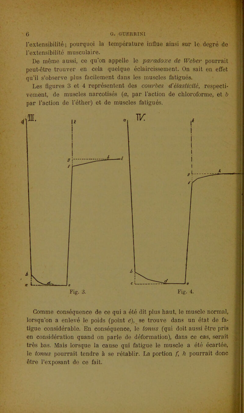 l’extensibilité; pourquoi la température influe ainsi sur le degré de l’extensibilité musculaire. De même aussi, ce qu’on appelle le paradoxe de Weber pourrait peut-être trouver en cela quelque éclaircissement. On sait en effet qu’il s’observe plus facilement dans les muscles fatigués. Les figures 3 et 4 représentent des courbes d'élasticité, respecti- vement, de muscles narcotisés (a, par l’action de chloroforme, et b par l’action de l'éther) et de muscles fatigués. Comme conséquence de ce qui a été dit plus haut, le muscle normal, lorsqu’on a enlevé le poids (point e), se trouve dans un état de fa- tigue considérable. En conséquence, le tonus (qui doit aussi être pris en considération quand on parle de déformation), dans ce cas, serait très bas. Mais lorsque la cause qui fatigue le muscle a été écartée, le tonus pourrait tendre à se rétablir. La portion f, h pourrait donc être l’exposant de ce fait.