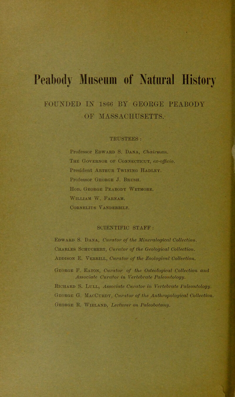 Peabody Museum of Natural History FOUNDED IN 18(50 BY GEORGE PEABODY OF MASSACHUSETTS. TRUSTEES: - Professor Edward S. Dana, Chairman. The Governor of Connecticut, ex-officio. President Arthur Twining Hadley. Professor George J. Brush. Hon, George Peabody Wetmore. William W. Farnam. Cornelius Vanderbilt. SCIENTIFIC STAFF: Edward S. Dana, Curator of the Mineralogical Collection. Charles Schuchert, Curator of the Geological Collection. Addison E. Verrill, Curator of the Zoological Collection. George F. Eaton, Curator of the Osteological Collection and Associate Curator in Vertebrate Paleontology. Richard S. Lull, Associate Curator in Vertebrate Paleontology. George G. JIacCurdy, Curator of the Anthropological Collection. George R. Wieland, Lecturer on Paleobotany.