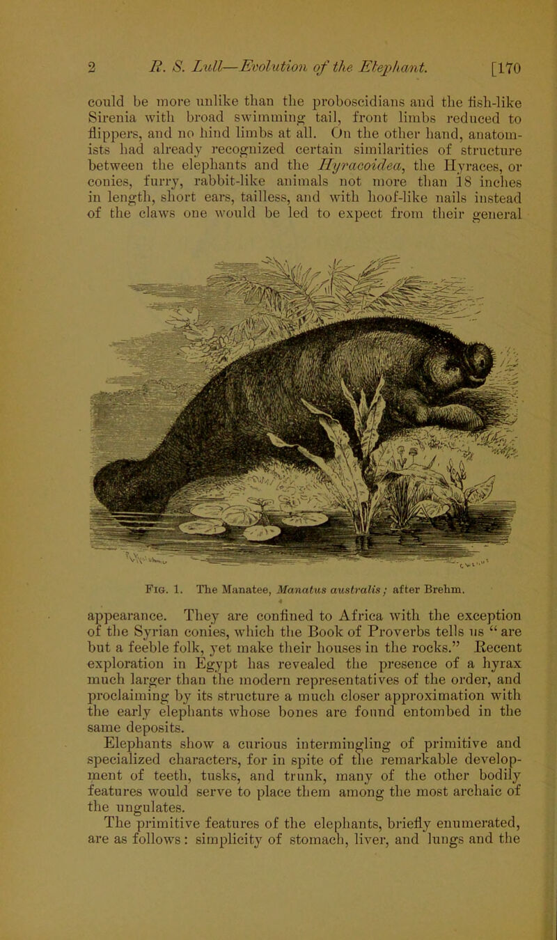 could be more unlike than the proboscidians and the fisli-like Sirenia with broad swimming tail, front limbs reduced to flippers, and no hind limbs at all. On the other hand, anatom- ists had already recognized certain similarities of structure between the elephants and the Hyraooidea, the Hyraces, or conies, furry, rabbit-like animals not more than IS inches in length, short ears, tailless, and with hoof-like nails instead of the claws one would be led to expect from their general Fig. 1. The Manatee, Manatus australis; after Brehm. 4 appearance. They are confined to Africa with the exception of the Syrian conies, which the Book of Proverbs tells us “ are but a feeble folk, yet make their houses in the rocks.” Recent exploration in Egypt has revealed the presence of a hyrax much larger than the modern representatives of the order, and proclaiming by its structure a much closer approximation with the early elephants whose bones are found entombed in the same deposits. Elephants show a curious intermingling of primitive and specialized characters, for in spite of the remarkable develop- ment of teetb, tusks, and trunk, many of the other bodily features would serve to place them among the most archaic of the ungulates. The primitive features of the elephants, briefly enumerated, are as follows: simplicity of stomach, liver, and lungs and the