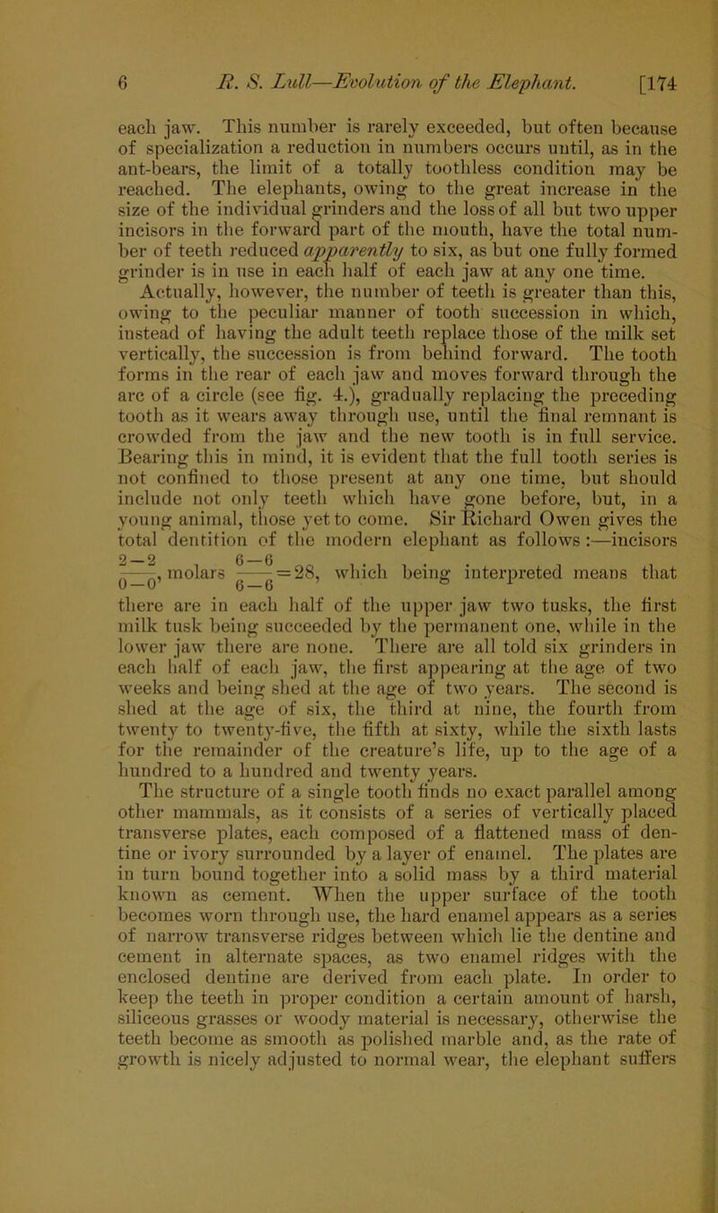 each jaw. This number is rarely exceeded, but often because of specialization a reduction in numbers occurs until, as in the ant-bears, the limit of a totally toothless condition may be reached. The elephants, owing to the great increase in the size of the individual grinders and the loss of all but two upper incisors in the forward part of the mouth, have the total num- ber of teeth reduced apparently to six, as but one fully formed grinder is in use in each half of each jaw at any one time. Actually, however, the number of teeth is greater than this, owing to tlie peculiar manner of tooth succession in which, instead of having the adult teeth replace those of the milk set vertically, the succession is from behind forward. The tooth forms in the rear of each jaw and moves forward through the are of a circle (see fig. 4.j, gradually replacing the preceding tooth as it wears away through use, until the final remnant is crowded from the jaw and the new tooth is in full service. Bearing this in mind, it is evident that the full tooth series is not confined to those present at any one time, but should include not only teeth which have gone before, but, in a young animal, those yet to come. Sir Richard Owen gives the total dentition of the modern elephant as follows :—incisors 2—2 6—6 molars -7—- = 28, which being interpreted means that there are in each half of the upper jaw two tusks, the first milk tusk being succeeded by the permanent one, while in the lower jaw there are none. There are all told six grinders in each half of each jaw, the first appearing at the age of two weeks and being shed at the age of two years. The second is shed at the age of six, the third at nine, the fourth from twenty to twenty-five, the fifth at sixty, while the sixth lasts for the remainder of the creature’s life, up to the age of a hundred to a hundred and twenty years. The structure of a single tooth finds no exact parallel among other mammals, as it consists of a series of vertically placed transverse plates, each composed of a flattened mass of den- tine or ivory surrounded by a layer of enamel. The plates are in turn bound together into a solid mass by a third material known as cement. When the upper surface of the tooth becomes worn through use, the hard enamel appears as a series of narrow transverse ridges between which lie the dentine and cement in alternate spaces, as two enamel ridges with the enclosed dentine are derived from each plate. In order to keep the teeth in proper condition a certain amount of harsh, siliceous grasses or woody material is necessary, otherwise the teeth become as smooth as polished marble and, as the rate of growth is nicely adjusted to normal wear, the elephant suffers