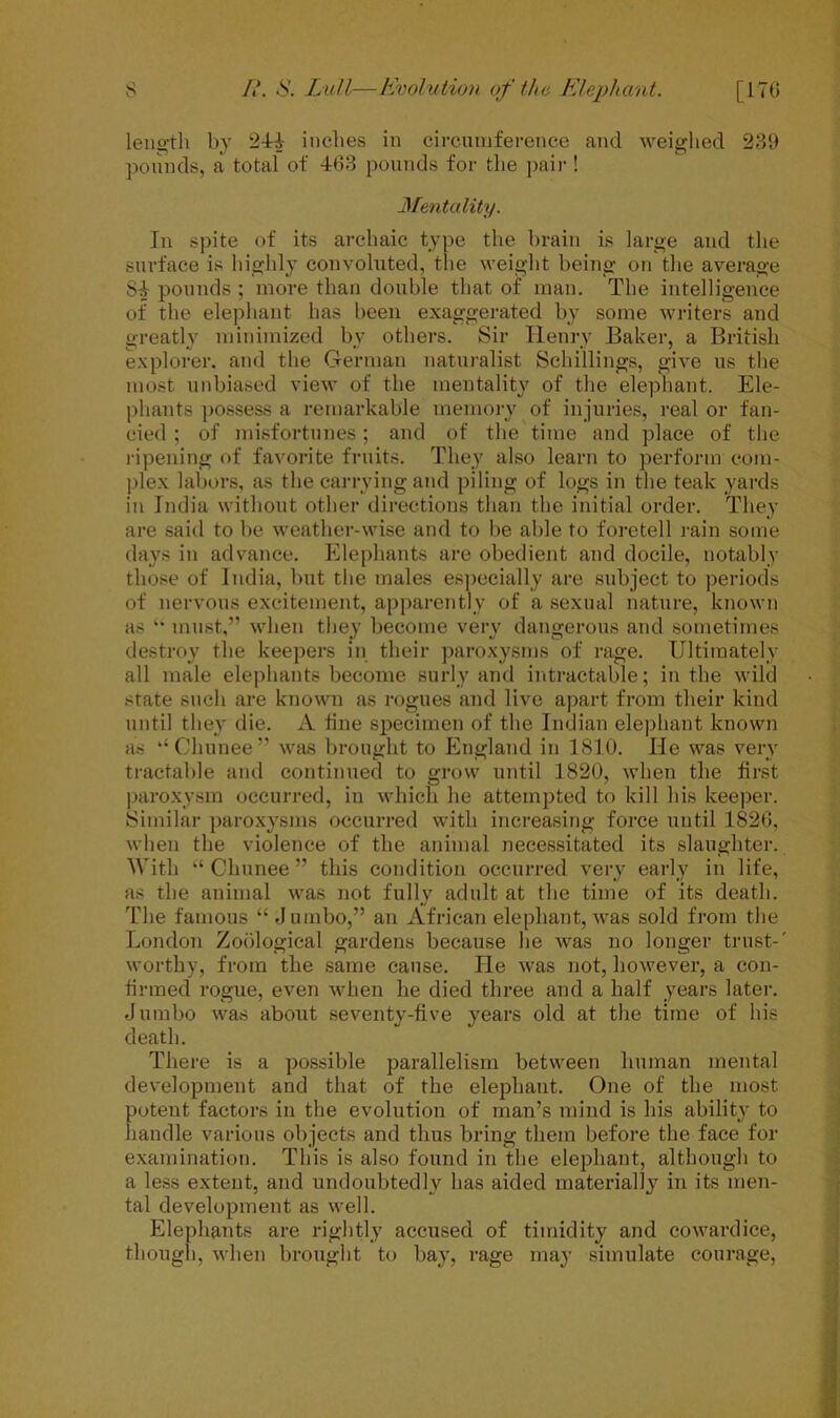 length by 244 inches in circumference and weighed 239 pounds, a total of 463 pounds for the pair ! Mentality. In spite of its archaic type the brain is large and the surface is highly convoluted, the weight being on the average 84 pounds ; more than double that of man. The intelligence of the elephant has been exaggerated by some writers and greatly minimized bv others. Sir Henry Baker, a British explorer, and the German naturalist Schillings, give us the most unbiased view of the mentality of the elephant. Ele- phants possess a remarkable memory of injuries, real or fan- cied ; of misfortunes; and of the time and place of the ripening of favorite fruits. They also learn to perform com- plex labors, as the carrying and piling of logs in the teak yards in India without other directions than the initial order. They are said to be weather-wise and to be able to foretell rain some days in advance. Elephants are obedient and docile, notably those of India, but the males especially are subject to periods of nervous excitement, apparently of a sexual nature, known as “ must,” when they become very dangerous and sometimes destroy the keepers in their paroxysms of rage. Ultimately all male elephants become surly and intractable; in the wild state such are known as rogues and live apart from their kind until they die. A fine specimen of the Indian elephant known as k‘ Cliunee ” was brought to England in 1810. He was very tractable and continued to grow until 1820, when the first paroxysm occurred, in which he attempted to kill his keeper. Similar paroxysms occurred with increasing force until 1826, when the violence of the animal necessitated its slaughter. With “ Cliunee ” this condition occurred very early in life, as the animal was not fully adult at the time of its death. The famous “ Jumbo,” an African elephant, was sold from the London Zoological gardens because he was no longer trust-' worthy, from the same cause. He was not, however, a con- firmed rogue, even when he died three and a half years later. J umbo was about seventy-five years old at the time of his death. There is a possible parallelism between human mental development and that of the elephant. One of the most potent factors in the evolution of man’s mind is his ability to handle various objects and thus bring them before the face for examination. This is also found in the elephant, although to a less extent, and undoubtedly has aided materially in its men- tal development as well. Elephants are rightly accused of timidity and cowardice, though, when brought to bay, rage may simulate courage,