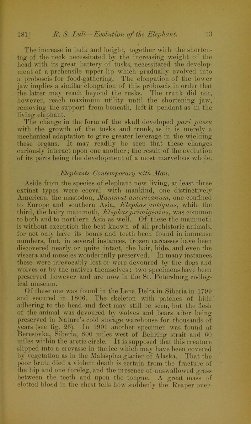 The increase in bulk and height, together with the shorten- ing of the neck necessitated by the increasing weight of the head with its great battery of tusks, necessitated the develop- ment of a prehensile upper lip which gradually evolved into a proboscis for food-gathering. The elongation of the lower jaw implies a similar elongation of this proboscis in order that the latter may reach beyond the tusks. The trunk did not, however, reach maximum utility until the shortening jaw, removing the support from beneath, left it pendant as in the living elephant. The change in the form of the skull developed pari passu with the growth of the tusks and trunk, as it is merely a mechanical adaptation to give greater leverage in the wielding these organs. It may readily be seen that these changes curiously interact upon one another; the result of the evolution of its parts being the development of a most marvelous whole. Elephants Contemporary with Man. Aside from the species of elephant now living, at least three extinct types were coeval with mankind, one distinctively American, the mastodon, Mammut americanum, one confined to Europe and southern Asia, Elephas antiquus, while the third, the hairy mammoth, Elephasprimi.genius, was common to both and to northern Asia as well. Of these the mammoth is without exception the best known of all prehistoric animals, for not only have its bones and teeth been found in immense numbers, but, in several instances, frozen carcasses have been discovered nearly or quite intact, the hair, hide, and even the viscera and muscles wonderfully preserved. In many instances these were irrevocably lost or were devoured by the dogs and wolves or by the natives themselves ; two specimens have been preserved however and are now in the St. Petersburg zoolog- ical museum. Of these one was found in the Lena Delta in Siberia in 1709 and secured in 1806. The skeleton with patches of hide adhering to the head and feet may still be seen, but the flesh of the animal was devoured by wolves and bears after being- preserved in Nature’s cold storage warehouse for thousands of years (see fig. 26). In 1901 another specimen was found at Beresovka, Siberia, 800 miles west of Behring strait and 60 miles within the arctic circle. It is supposed that this creature slipped into a crevasse in the ice which may have been covered by vegetation as in the Mala'spina glacier of Alaska. That the poor brute died a violent death is certain from the fracture of the hip and one foreleg, and the presence of unswallovVed grass between the teeth and upon the tongue. A great mass of clotted blood in the chest tells how suddenly the Reaper over-