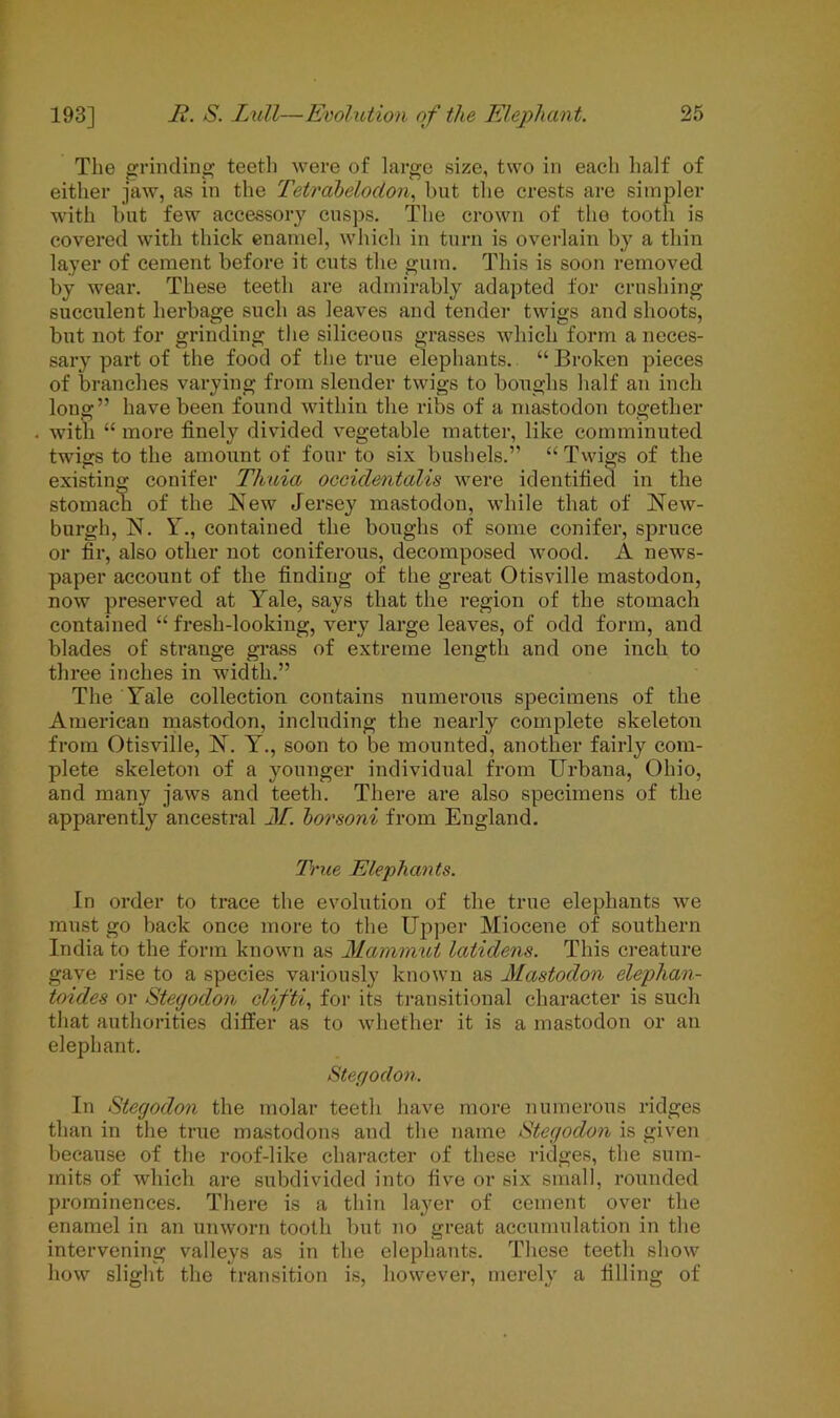 The grinding teeth were of large size, two in each half of either jaw, as in the Tetrabelodon, but the crests arc simpler with but few accessory cusps. The crown of the tooth is covered with thick enamel, which in turn is overlain by a thin layer of cement before it cuts the gum. This is soon removed by wear. These teetli are admirably adapted for crushing succulent herbage such as leaves and tender twigs and shoots, but not for grinding the siliceous grasses which form a neces- sary part of the food of the true elephants. “Broken pieces of branches varying from slender twigs to boughs half an inch long” have been found within the ribs of a mastodon together with “ more finely divided vegetable matter, like comminuted twigs to the amount of four to six bushels.” “ Twigs of the existing conifer Thuia oceiclentalis were identified in the stomach of the New Jersey mastodon, while that of New- burgh, N. Y., contained the boughs of some conifer, spruce or fir, also other not coniferous, decomposed wood. A news- paper account of the finding of the great Otisville mastodon, now preserved at Yale, says that the region of the stomach contained “ fresh-looking, very large leaves, of odd form, and blades of strange grass of extreme length and one inch to three inches in width.” The Yale collection contains numerous specimens of the American mastodon, including the nearly complete skeleton from Otisville, N. Y., soon to be mounted, another fairly com- plete skeleton of a younger individual from Urbana, Ohio, and many jaws and teeth. There are also specimens of the apparently ancestral M. horsoni from England. True Elephants. In order to trace the evolution of the true elephants we must go back once more to the Upper Miocene of southern India to the form known as Mammul latidens. This creature gave rise to a species variously known as Mastodon elephan- toides or Stegodon clifti, for its transitional character is such that authorities differ as to whether it is a mastodon or an elephant. Stegodon. In Stegodon the molar teeth have more numerous ridges than in the true mastodons and the name Stegodon is given because of the roof-like character of these ridges, the sum- mits of which are subdivided into five or six small, rounded prominences. There is a thin layer of cement over the enamel in an unworn tooth but no great accumulation in the intervening valleys as in the elephants. These teeth show how slight the transition is, however, merely a filling of