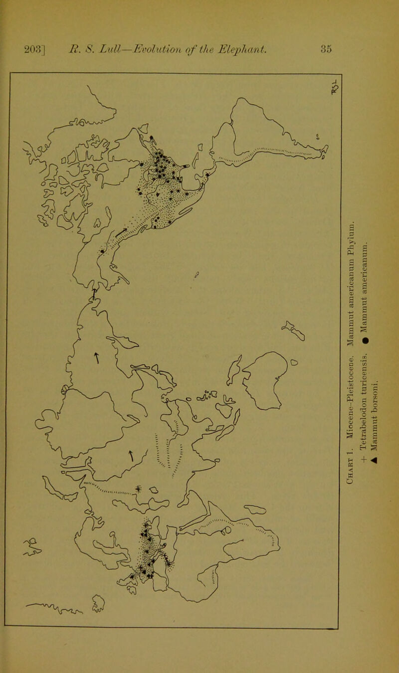 Chart 1. Miocene-PleistoeeDe. Manumit americanum Phylum. + Tetrabelodon turicensi3. • Mammut americanum. A Mammut borsoni.