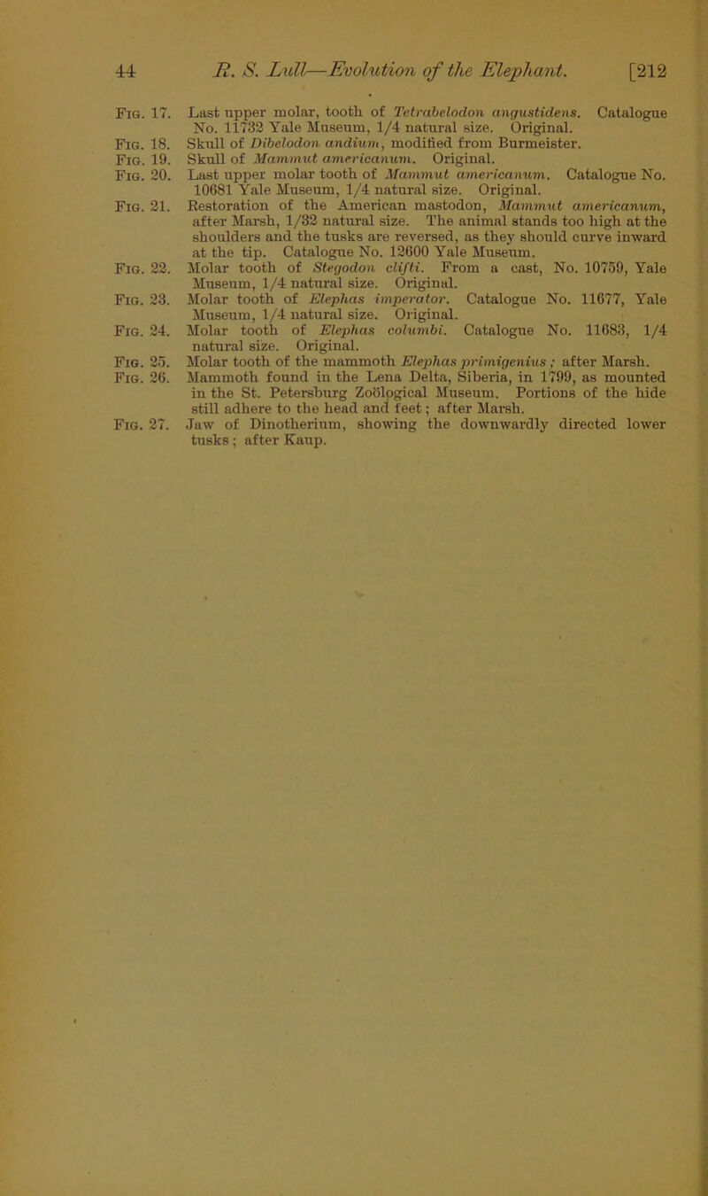 Fig. 17. Fig. 18. Fig. 19. Fig. 20. Fig. 21. Fig. 22. Fig. 23. Fig. 24. Fig. 25. Fig. 26. Fig. 27. Last upper molar, tooth of Tetmbelnclon angusticlens. Catalogue No. 11732 Yale Museum, 1/4 natural size. Original. Skull of Dibelodon andium, modified from Burmeister. Skull of Manumit americanum. Original. Last upper molar tooth of Mammut americanum. Catalogue No. 10681 Yale Museum, 1/4 natural size. Original. Restoration of the American mastodon, Mammut americanum, after Marsh, 1/32 natural size. The animal stands too high at the shoulders and the tusks are reversed, as they should curve inward at the tip. Catalogue No. 12600 Yale Museum. Molar tooth of Stegodon clifti. From a cast, No. 10759, Yale Museum, 1/4 natural size. Original. Molar tooth of Eleplias imperator. Catalogue No. 11677, Yale Museum, 1/4 natural size. Original. Molar tooth of Elephas columbi. Catalogue No. 11683, 1/4 natural size. Original. Molar tooth of the mammoth Elephas primigenius; after Marsh. Mammoth found in the Lena Delta, Siberia, in 1799, as mounted in the St. Petersburg Zoological Museum. Portions of the hide still adhere to the head and feet; after Marsh. Jaw of Dinotherium, showing the downwardly directed lower tusks; after Kaup.