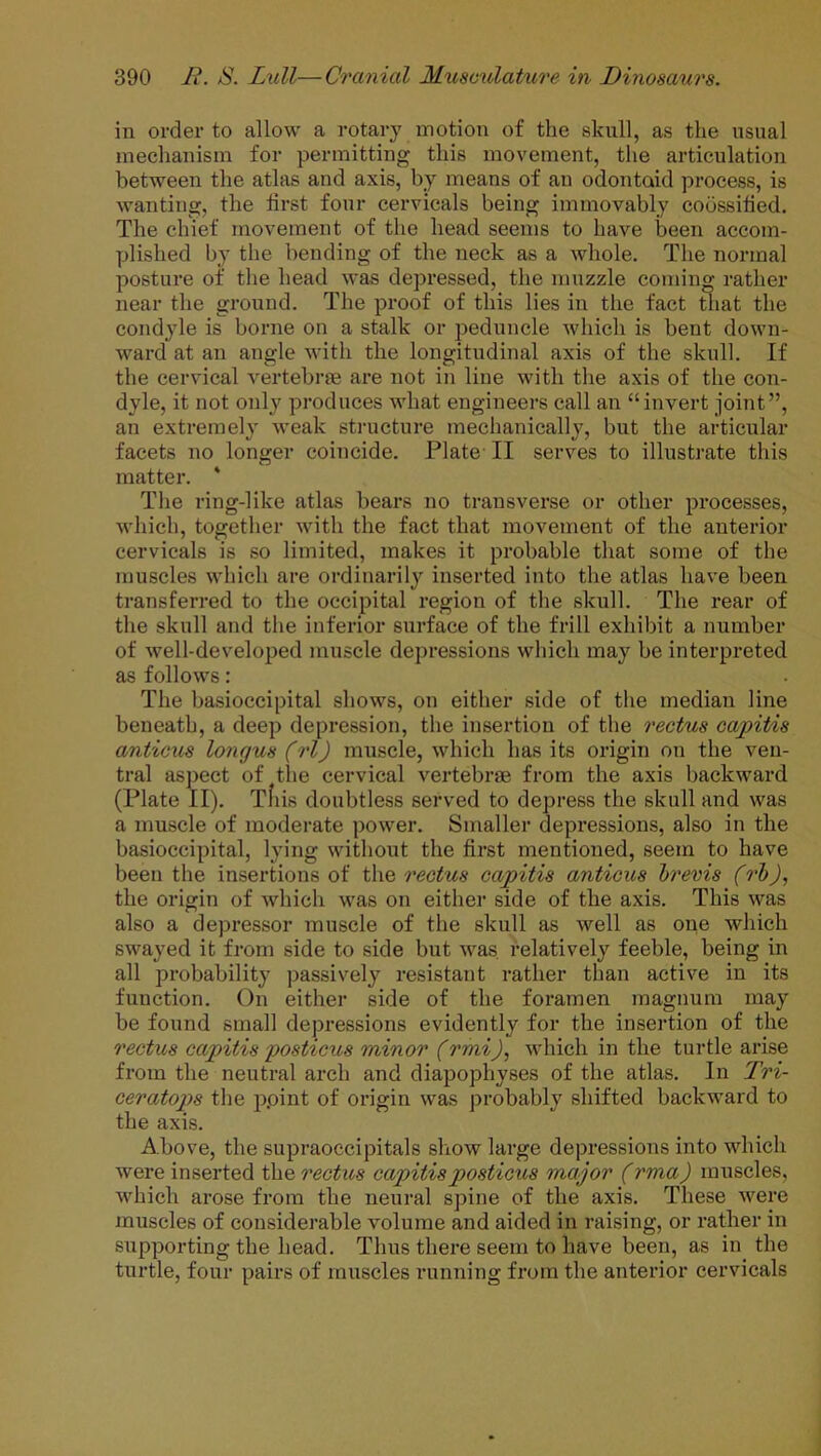 in order to allow a rotary motion of the skull, as the usual mechanism for permitting this movement, the articulation between the atlas and axis, by means of an odontoid process, is wanting, the first four cervicals being immovably coossified. The chief movement of the head seems to have been accom- plished by the bending of the neck as a whole. The normal posture of the head was depressed, the muzzle coming rather near the ground. The proof of this lies in the fact that the condyle is borne on a stalk or peduncle which is bent down- ward at an angle with the longitudinal axis of the skull. If the cervical vertebrae are not in line with the axis of the con- dyle, it not only produces what engineers call an “invert joint”, an extremely weak structure mechanically, but the articular facets no longer coincide. Plate II serves to illustrate this matter. 4 The ring-like atlas bears no transverse or other processes, which, together with the fact that movement of the anterior cervicals is so limited, makes it probable that some of the muscles which are ordinarily inserted into the atlas have been transferred to the occipital region of the skull. The rear of the skull and the inferior surface of the frill exhibit a number of well-developed muscle depressions which may be interpreted as follows: The basioccipital shows, on either side of the median line beneath, a deep depression, the insertion of the rectus capitis anticus Iojujus (rl) muscle, which has its origin on the ven- tral aspect of the cervical vertebrae from the axis backward (Plate II). Tfiis doubtless served to depress the skull and was a muscle of moderate power. Smaller depressions, also in the basioccipital, lying without the first mentioned, seem to have been the insertions of the rectus capitis anticus brevis (rb), the origin of which was on either side of the axis. This was also a depressor muscle of the skull as well as one which swayed it from side to side but was. relatively feeble, being in all probability passively resistant rather than active in its function. On either side of the foramen magnum may be found small depressions evidently for the insertion of the rectus capitis posticus minor (rmiJ, which in the turtle arise from the neutral arch and diapophyses of the atlas. In Tri- ceratops the ppint of origin was probably shifted backward to the axis. Above, the supraoccipitals show large depressions into which were inserted the rectus capitis posticus major (rma) muscles, which arose from the neural spine of the axis. These were muscles of considerable volume and aided in raising, or rather in supporting the head. Thus there seem to have been, as in the turtle, four pairs of muscles running from the anterior cervicals