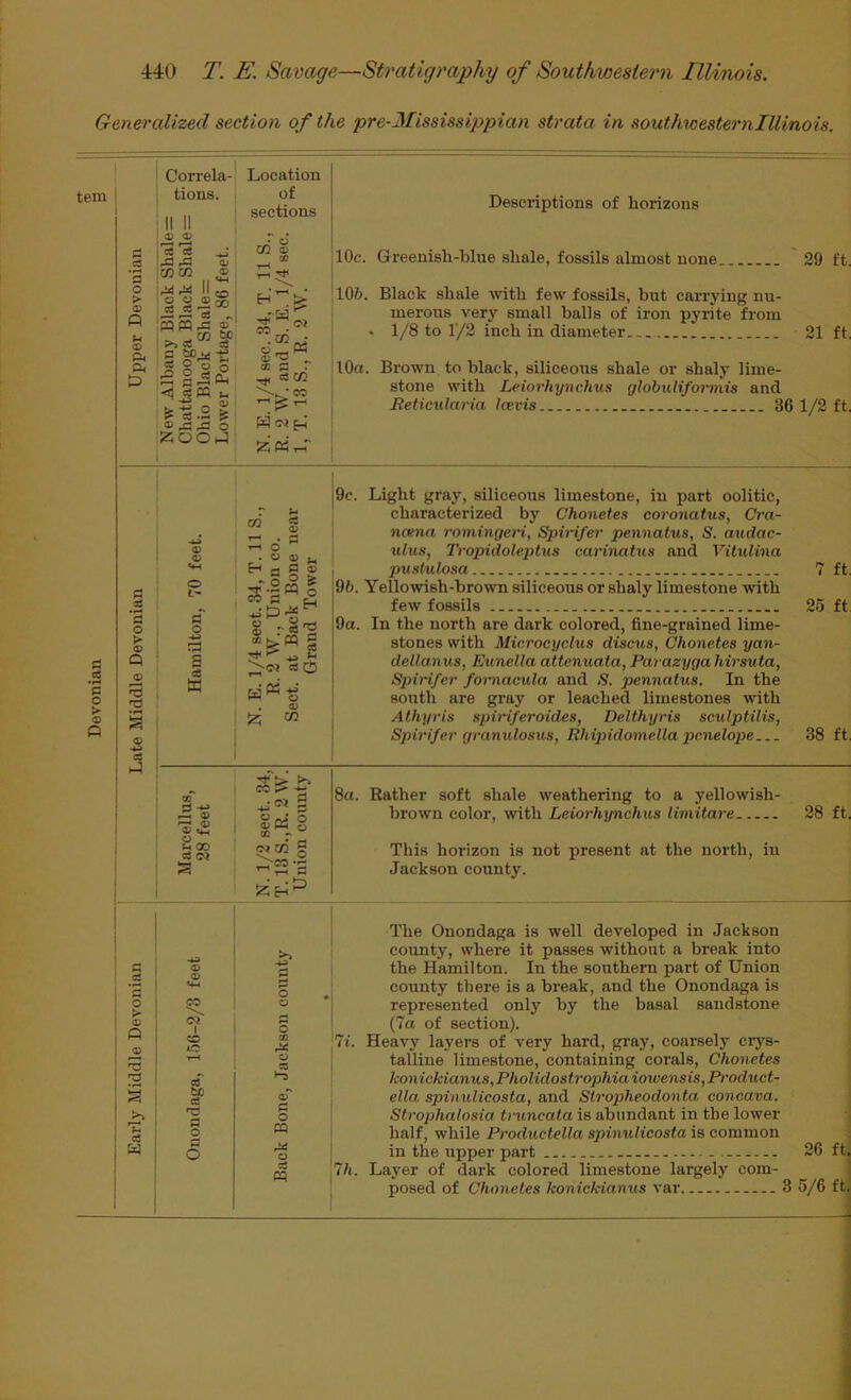 Early Middle Devonian Late Middle Devonian Upper Devonian Generalized section of the pre-Mississippian strata in southwesternlllinois. tem Correia- Location tions. of ,, ,, sections Descriptions of horizons , cC cS r£3 0; O) CO ® W O O 0) d a • o CO 0? to CO 00 WPQrfi CO ^ >> cS c3 0 to M g 9 o o <J^ M ^ «.2 I' O SZiOOhJ CO • qj “ CD . ^ ciCO \ -TO W <M H lOe. Greenish-blue shale, fossils almost none 29 ft. 10&. Black shale -with few fossils, but carrying nu- merous very small balls of iron pyrite from - 1/8 to r/2 inch in diameter 21 ft, lOa. Brown to black, siliceous shale or shalj' lime- stone with Leiorhynchus globulifoi'mis and Reticularia Icevis 36 1/2 ft, I I 0> a; O t'* a o a c8 w 00 S3 O U GO cS <M •4^ o o> «4-i CO i-O eS to C3 a O cn T-H r-i O . O H fl Sl' ® r a ^ >0^ c$ <v a OP §'2 M § “S cS -s' . o; Iz; OT 9c. Light gray, siliceous limestone, in part oolitic, characterized by Chonetes coronatus, Cra- ncena romingeri, Spirifer pennatus, S. audac- ulus, Tropidoleptus carinatus and Vitulina puatulosa 9t>. Yellowish-brown siliceous or shaly limestone with few fossils 9a. In the north are dark colored, fine-grained lime- stones with Microcyclus discus, Chonetes yan- dellanus, Eunella attenuata, Parazyga hirsuta, Spirifer fornacula and S, pennatus. In the south are gray or leached limestones with Athyris spiriferoides, Delthyris sculptilis, Spirifer gramtlosus, Rhipidomella pic.nelope 7 ft, 25 ft 38 ft, a; > >» CO 2 ^ 03 S CJ . QQ wai g -Sc 8a. Rather soft shale weathering to a yellowish- brown color, with Leiorhynchus limitare 28 ft. This horizon is not present at the north, in Jackson county. ;7t. i I i Ih. The Onondaga is well developed in Jackson county, where it passes without a break into the Hamilton. In the southern part of Union county there is a break, and the Onondaga is represented only by the basal sandstone (7a of section). Heavy layers of very hard, gray, coarsely crys- talline limestone, containing corals, Chonetes konickianus, Pholidostrophia iowensis, Product- ella spinulicosta, and Stropheodonta concava. Strophalosia truncata is abundant in the lower half, while Productella spinulicosta is common in the upper part Layer of dark colored limestone largely com- posed of Chonetes konickianus var 26 ft. 3 5/6 ft]