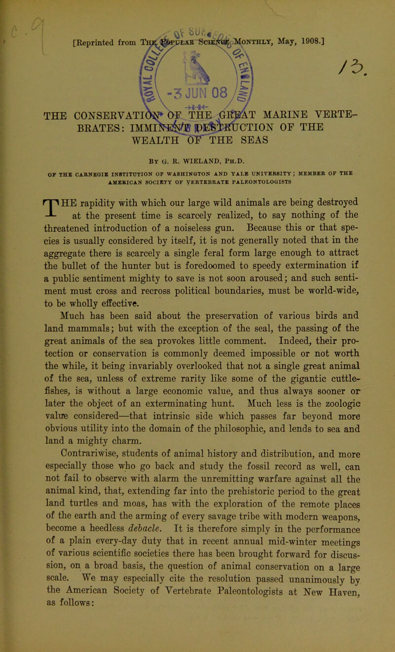 [Reprinted from THE CONSERVATI BRATES: WEALTH , May, 1908.] MARINE VERTE- CTION OF THE THE SEAS By G. R. WIELAND, Ph.D. OF THE CARNEGIE INSTITUTION OF WASHINGTON AND YAI.E UNIVERSITY ; MEMBER OF THE AMERICAN SOCIETY OF VERTEBRATE PALEONTOLOGISTS THE rapidity with which our large wild animals are being destroyed at the present time is scarcely realized, to say nothing of the threatened introduction of a noiseless gun. Because this or that spe- cies is usually considered by itself, it is not generally noted that in the aggregate there is scarcely a single feral form large enough to attract the bullet of the hunter but is foredoomed to speedy extermination if a public sentiment mighty to save is not soon aroused; and such senti- ment must cross and recross political boundaries, must be world-wide, to be wholly effective. Much has been said about the preservation of various birds and land mammals; but with the exception of the seal, the passing of the great animals of the sea provokes little comment. Indeed, their pro- tection or conservation is commonly deemed impossible or not worth the while, it being invariably overlooked that not a single great animal of the sea, unless of extreme rarity like some of the gigantic cuttle- fishes, is without a large economic value, and thus always sooner or later the object of an exterminating hunt. Much less is the zoologic value considered—that intrinsic side which passes far beyond more obvious utility into the domain of the philosophic, and lends to sea and land a mighty charm. Contrariwise, students of animal history and distribution, and more especially those who go back and study the fossil record as well, can not fail to observe with alarm the unremitting warfare against all the animal kind, that, extending far into the prehistoric period to the great land turtles and moas, has with the exploration of the remote places of the earth and the arming of every savage tribe with modern weapons, become a heedless debacle. It is therefore simply in the performance of a plain every-day duty that in recent annual mid-winter meetings of various scientific societies there has been brought forward for discus- sion, on a broad basis, the question of animal conservation on a large scale. We may especially cite the resolution passed unanimously by the American Society of Vertebrate Paleontologists at New Haven, as follows: