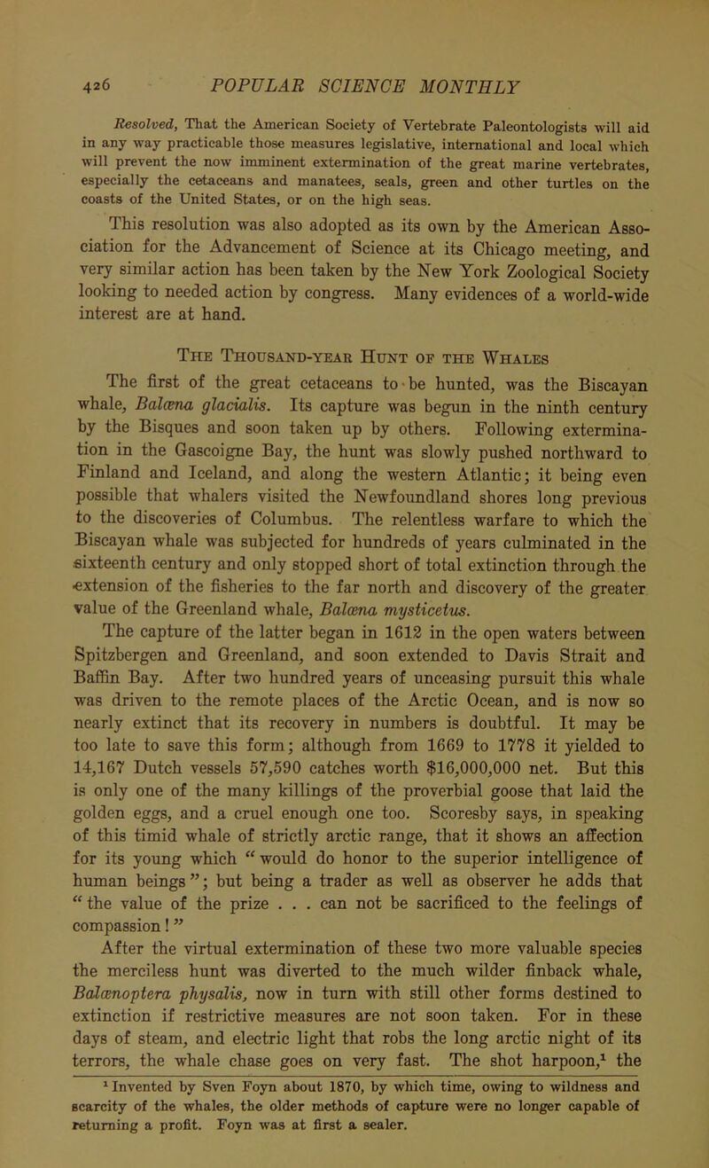 Resolved, That the American Society of Vertebrate Paleontologists will aid in any way practicable those measures legislative, international and local which will prevent the now imminent extermination of the great marine vertebrates, especially the cetaceans and manatees, seals, green and other turtles on the coasts of the United States, or on the high seas. This resolution was also adopted as its own by the American Asso- ciation for the Advancement of Science at its Chicago meeting, and very similar action has been taken by the New York Zoological Society looking to needed action by congress. Many evidences of a world-wide interest are at hand. The Thousand-year Hunt of the Whales The first of the great cetaceans to be hunted, was the Biscayan whale, Balcma glacialis. Its capture was begun in the ninth century by the Bisques and soon taken up by others. Following extermina- tion in the Gascoigne Bay, the hunt was slowly pushed northward to Finland and Iceland, and along the western Atlantic; it being even possible that whalers visited the Newfoundland shores long previous to the discoveries of Columbus. The relentless warfare to which the Biscayan whale was subjected for hundreds of years culminated in the sixteenth century and only stopped short of total extinction through the ■extension of the fisheries to the far north and discovery of the greater value of the Greenland whale, Baloena mysticetus. The capture of the latter began in 1612 in the open waters between Spitzbergen and Greenland, and soon extended to Davis Strait and Baffin Bay. After two hundred years of unceasing pursuit this whale was driven to the remote places of the Arctic Ocean, and is now so nearly extinct that its recovery in numbers is doubtful. It may be too late to save this form; although from 1669 to 1778 it yielded to 14,167 Dutch vessels 57,590 catches worth $16,000,000 net. But this is only one of the many killings of the proverbial goose that laid the golden eggs, and a cruel enough one too. Scoresby says, in speaking of this timid whale of strictly arctic range, that it shows an affection for its young which “ would do honor to the superior intelligence of human beings ”; but being a trader as well as observer he adds that “ the value of the prize . . . can not be sacrificed to the feelings of compassion! ” After the virtual extermination of these two more valuable species the merciless hunt was diverted to the much wilder finback whale, Balcenoptera physatis, now in turn with still other forms destined to extinction if restrictive measures are not soon taken. For in these days of steam, and electric light that robs the long arctic night of its terrors, the whale chase goes on very fast. The shot harpoon,1 the 1 Invented by Sven Foyn about 1870, by which time, owing to wildness and scarcity of the whales, the older methods of capture were no longer capable of returning a profit. Foyn was at first a sealer.