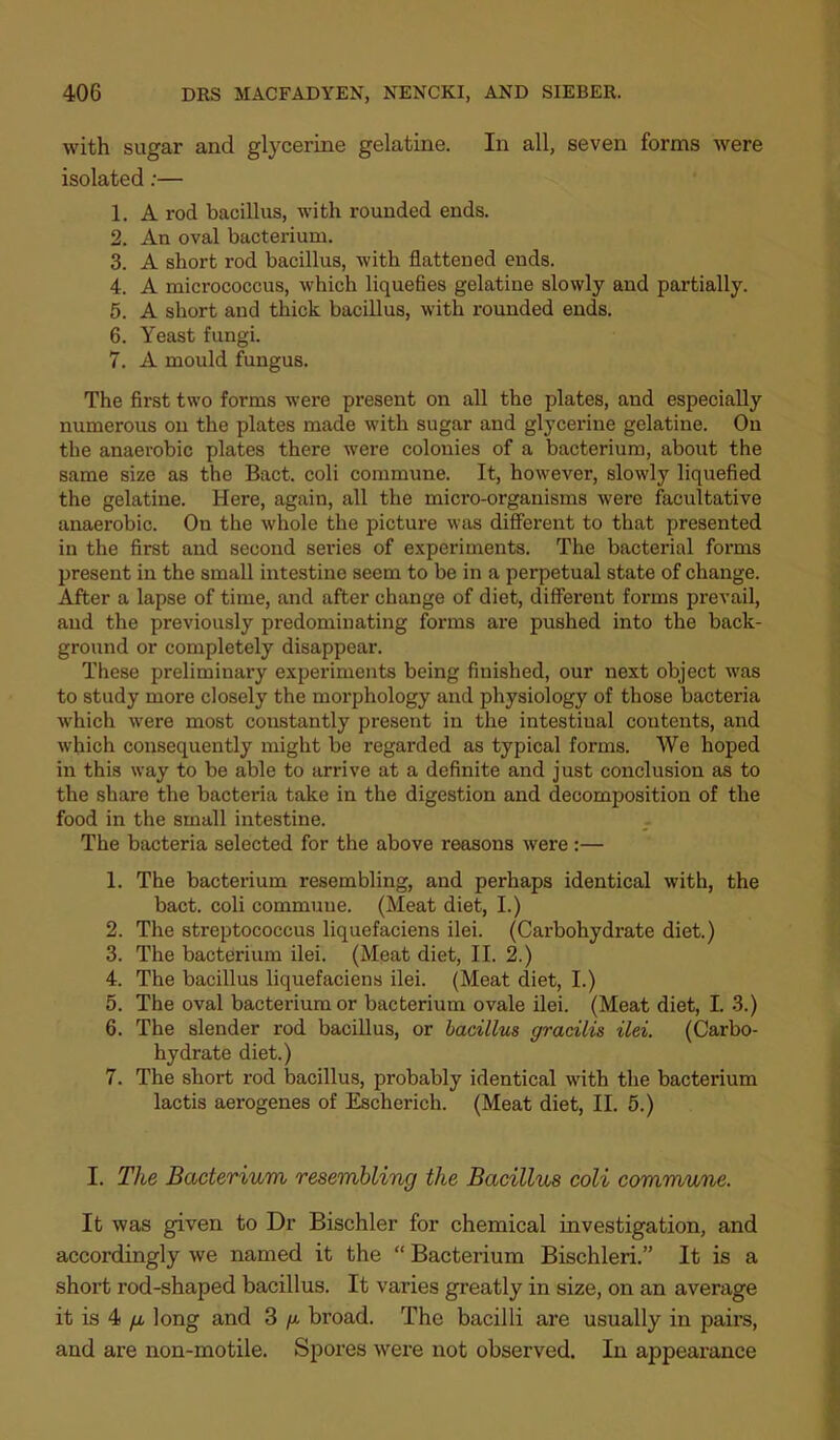 with sugar and glycerine gelatine. In all, seven forms were isolated;— 1. A rod bacillus, with rounded ends. 2. An oval bacterium. 3. A short rod bacillus, with flattened ends. 4. A micrococcus, which liquefies gelatine slowly and partially. 5. A short and thick bacillus, with rounded ends. 6. Yeast fungi. 7. A mould fungus. The first two forms were present on all the plates, and especially numerous on the plates made with sugar and glycerine gelatine. On the anaerobic plates there were colonies of a bacterium, about the same size as the Bact. coli commune. It, however, slowly liquefied the gelatine. Here, again, all the micro-organisms were facultative anaerobic. On the whole the picture was different to that presented in the first and second series of e.\periments. The bacterial forms present in the small intestine seem to be in a perpetual state of change. After a lapse of time, and after change of diet, different forms prevail, and the previously predominating forms are pushed into the back- ground or completely disappear. These preliminary experiments being finished, our next object was to study more closely the morphology and physiology of those bacteria which were most constantly present in the intestinal contents, and which consequently might be regarded as typical forms. We hoped in this way to be able to arrive at a definite and just conclusion as to the share the bacteria take in the digestion and decomposition of the food in the small intestine. The bacteria selected for the above reasons were :— 1. The bacterium resembling, and perhaps identical with, the bact. coli commune. (Meat diet, I.) 2. The streptococcus liquefaciens ilei. (Carbohydrate diet.) 3. The bacterium ilei. (Meat diet, II. 2.) 4. The bacillus liquefaciens ilei. (Meat diet, I.) 5. The oval bacterium or bacterium ovale ilei. (Meat diet, I. 3.) 6. The slender rod bacillus, or bacillus gracilis ilei. (Carbo- hydrate diet.) 7. The short rod bacillus, probably identical with the bacterium lactis aerogenes of Escherich. (Meat diet, II. 5.) I. The Bacterium resembling the Bacillus coli commune. It was given to Dr Bischler for chemical investigation, and accordingly we named it the “ Bacterium Bischleri.” It is a short rod-shaped bacillus. It varies greatly in size, on an average it is 4 yu- long and 3 g broad. The bacilli are usually in pairs, and are non-motile. Spores were not observed. In appearance