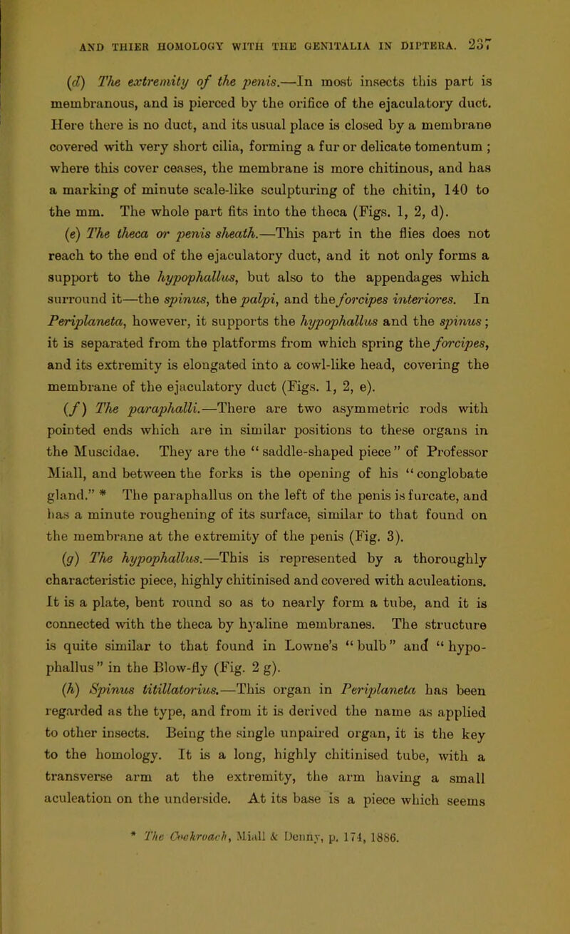 (cl) The extremity of the penis.—In most insects this part is membranous, and is pierced by the orifice of the ejaculatory duct. Here there is no duct, and its usual place is closed by a membrane covered with very short cilia, forming a fur or delicate tomentum ; where this cover ceases, the membrane is more chitinous, and has a marking of minute scale-like sculpturing of the chitin, 140 to the mm. The whole part fits into the theca (Figs. 1, 2, d). (e) The theca or penis sheath.—This part in the flies does not reach to the end of the ejaculatory duct, and it not only forms a support to the hypophallus, but also to the appendages which surround it—the spinus, the palpi, and the forcipes interiores. In Periplaneta, however, it supports the hypophallus and the spinus; it is separated from the platforms from which spring the forcipes, and its extremity is elongated into a cowl-like head, covering the membrane of the ejaculatory duct (Figs. 1, 2, e). (f) The paraphalli.—There are two asymmetric rods with pointed ends which are in similar positions to these organs in the Muscidae. They are the “saddle-shaped piece” of Professor Miall, and between the forks is the opening of his “ conglobate gland.” * The paraphallus on the left of the penis is furcate, and has a minute roughening of its surface, similar to that found on the membrane at the extremity of the penis (Fig. 3). (g) The hypophallus.—This is represented by a thoroughly characteristic piece, highly chitinised and covered with aculeations. It is a plate, bent round so as to nearly form a tube, and it is connected with the theca by hyaline membranes. The structure is quite similar to that found in Lowne’s “ bulb ” and “ hypo- phallus ” in the Blow-fly (Fig. 2 g). (A) Spinus titillatorius.—This organ in Periplaneta has been regarded as the type, and from it is derived the name as applied to other insects. Being the single unpaired organ, it is the key to the homology. It is a long, highly chitinised tube, with a transverse arm at the extremity, the arm having a small aculeation on the underside. At its ba.se is a piece which seems The Cockroach, Miall tc Denny, p, 174, 18S6.