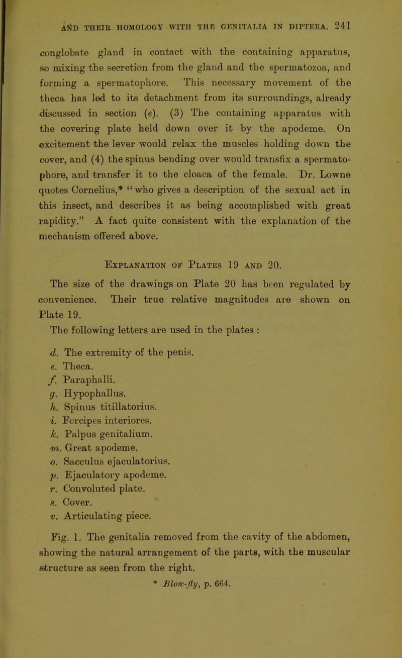 conglobate gland in contact with the containing apparatus, so mixing the secretion from the gland and the spermatozoa, and forming a spermatophore. This necessary movement of the theca has led to its detachment from its surroundings, already discussed in section (e). (3) The containing apparatus with the covering plate held down over it by the apodeme. On excitement the lever would relax the muscles holding down the cover, and (4) the spinus bending over would transfix a spermato- phore, and transfer it to the cloaca of the female. Dr. Lowne quotes Cornelius,* “ who gives a description of the sexual act in this insect, and describes it as being accomplished with great rapidity.” A fact quite consistent with the explanation of the mechanism offered above. Explanation of Plates 19 and 20. The size of the drawings on Plate 20 has been regulated by convenience. Their true relative magnitudes are shown on Plate 19. The following letters are used in the plates : d. The extremity of the penis. e. Theca. f. Paraphalli. g. Hypophallus. h. Spinus titillatorius. i. Forcipes interiores. k. Palpus genitalium. m. Great apodeme. o. Sacculus ejaculatorius. j>. Ejaculatory apodeme. r. Convoluted plate. s. Cover. v. Articulating piece. Fig. 1. The genitalia removed from the cavity of the abdomen, showing the natural arrangement of the parts, with the muscular structure as seen from the right. * Blow-fly, p. 664.