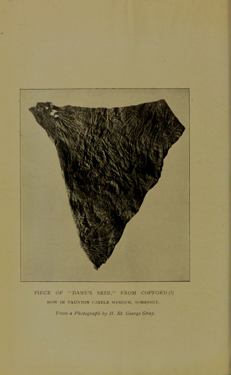 PIECE OF “DANE’S SKIN, FROM COPFORD (?) NOW IN TAUNTON CASTLE MUSEUM, SOMERSET. From a Photograph by H. St. George Gray.