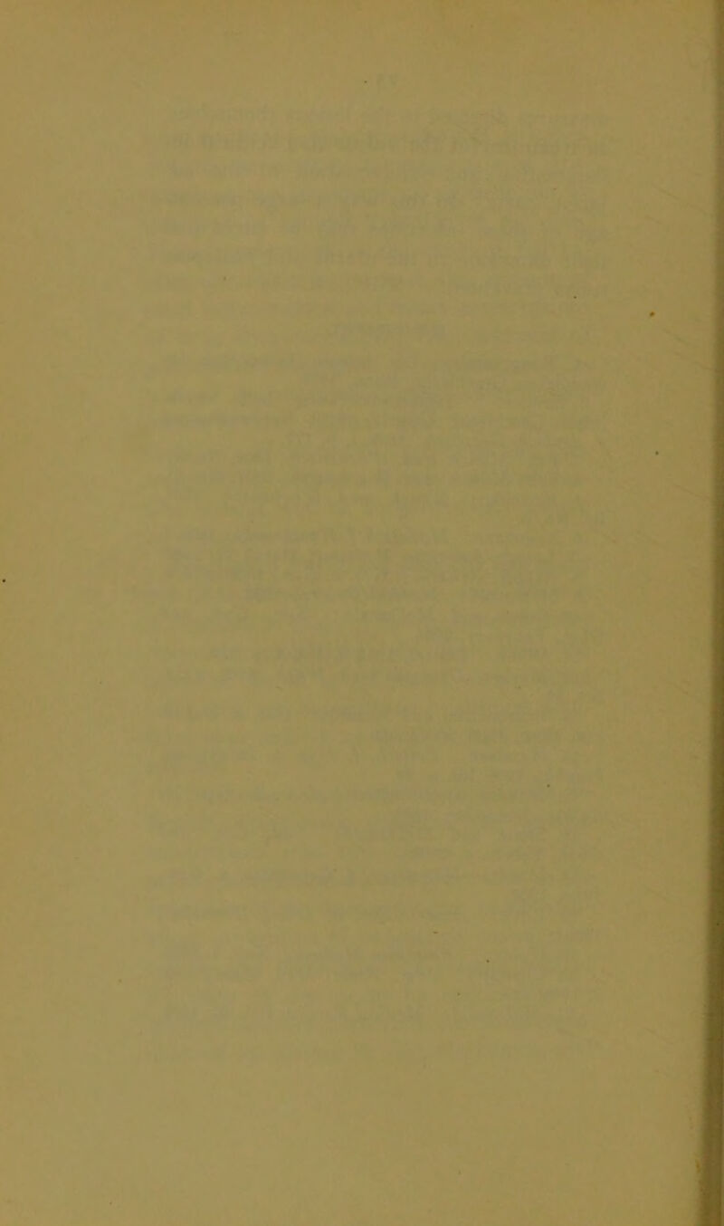 ' ' ' sT BW- ;v* -■ ■ .^rft.'--' • m7. irtnllin '1 7- ’ 'iy-‘ ...v*^*v!..' . ' ' V‘<>fe ■=■>.■ ;‘*lt“'>»r- *1 *4*'—-i’Jf^’’*!-^.^:.. ■?' t'f ...’B«^- •• r^-^V-. 1 rf^'. /-y . , '■ .i .