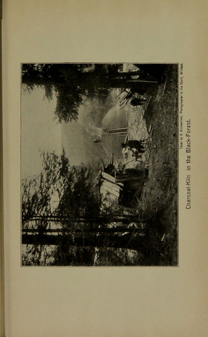 Charcoal-Kiln in the Black-Forest.