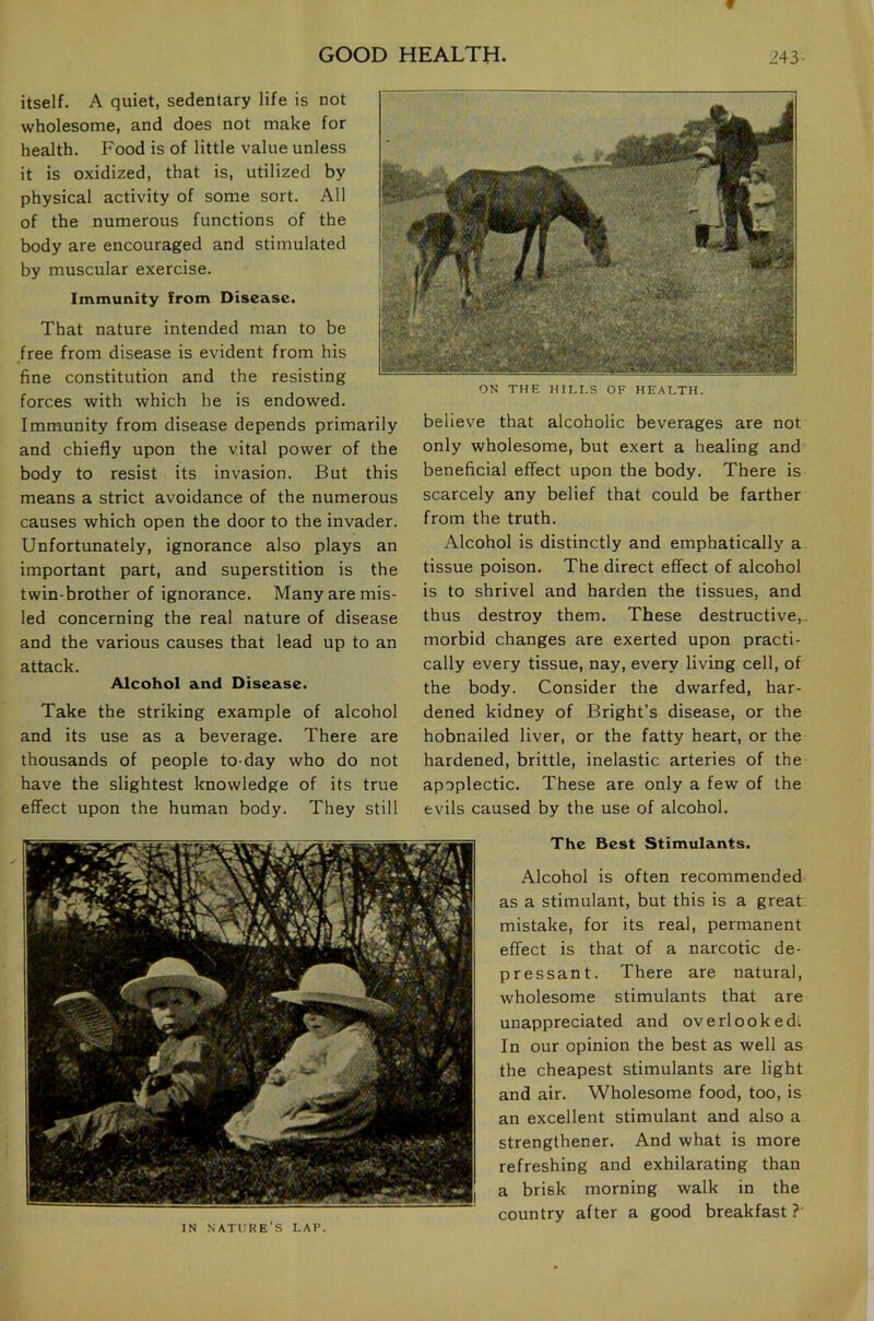 T GOOD HEALTH. 243 ON THE HILLS OF HEALTH. itself. A quiet, sedentary life is not wholesome, and does not make for health. Food is of little value unless it is oxidized, that is, utilized by physical activity of some sort. All of the numerous functions of the body are encouraged and stimulated by muscular exercise. Immunity from Disease. That nature intended man to be free from disease is evident from his fine constitution and the resisting forces with which he is endowed. Immunity from disease depends primarily and chiefly upon the vital power of the body to resist its invasion. But this means a strict avoidance of the numerous causes which open the door to the invader. Unfortunately, ignorance also plays an important part, and superstition is the twin-brother of ignorance. Many are mis- led concerning the real nature of disease and the various causes that lead up to an attack. Alcohol and Disease. Take the striking example of alcohol and its use as a beverage. There are thousands of people to-day who do not have the slightest knowledge of its true effect upon the human body. They still believe that alcoholic beverages are not only wholesome, but exert a healing and beneficial effect upon the body. There is scarcely any belief that could be farther from the truth. Alcohol is distinctly and emphatically a tissue poison. The direct effect of alcohol is to shrivel and harden the tissues, and thus destroy them. These destructive, morbid changes are exerted upon practi- cally every tissue, nay, every living cell, of the body. Consider the dwarfed, har- dened kidney of Bright’s disease, or the hobnailed liver, or the fatty heart, or the hardened, brittle, inelastic arteries of the apoplectic. These are only a few of the evils caused by the use of alcohol. The Best Stimulants. Alcohol is often recommended as a stimulant, but this is a great mistake, for its real, permanent effect is that of a narcotic de- pressant. There are natural, wholesome stimulants that are unappreciated and overlooked. In our opinion the best as well as the cheapest stimulants are light and air. Wholesome food, too, is an excellent stimulant and also a strengthener. And what is more refreshing and exhilarating than a brisk morning walk in the country after a good breakfast?' IN nature’s LAP.