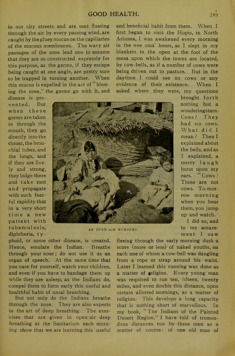 in our city streets and are sent floating through the air by every passing wind, are caught by the gluey mucus on the capillaries of the mucous membranes. The wavy air passages of the nose lead one to assume that they are so constructed expressly for this purpose, as the germs, if they escape being caught at one angle, are pretty sure to be trapped in turning another. When this mucus is expelled in the act of “blow- ing the nose,” the germs go with it, and disease is pre- vented. But when these germs are taken in through the mouth, they go directly into the throat, the bron- chial tubes, and the lungs, and if they are live- ly and strong, they lodge there and take root and propagate with such fear- ful rapidity that in a very short time a new patient with tubercul osis, diphtheria, t y - phoid, or some other disease, is created. Hence, emulate the Indian. Breathe -through your nose ; do not use it as an organ of speech. At the same time that you care for yourself, watch your children, and even if you have to bandage them up while they are asleep, as the Indians do, compel them to form early this useful and healthful habit of nasal breathing. But not only do the Indians breathe through the nose. They are also experts in the art of deep breathing. The exer- cises that are given in open-air deep breathing at the Sanitarium each morn- ing show that we are learning this useful and beneficial habit from them. When I first began to visit the Hopis, in North Arizona, I was awakened every morning in the wee sma’ hours, as I slept in my blankets in the open at the foot of the mesa upon which the towns are located, by cow-bells, as if a number of cows were being driven out to pasture. But in the daytime I could see no cows or any evidence of their existence. When I asked where they were, my questions brought forth nothing but a wonderingstare. Cows? They had no cows. What did I mean ? Then I explained about the bells, and as I explained, a merry laugh burst upon my ears. “ Cows ! Those are not cows. To-mor- row morning when you hear them, you jump up and watch. I did so, and to my amaze- ment I saw fleeing through the early morning dusk a score (more or less) of naked youths, on each one of whom a cow-bell was dangling from a rope or strap around his waist. Later I learned this running was done as a matter of feligion. Every young man was required to run ten, fifteen, twenty miles, and even double this distance, upon certain allotted mornings, as a matter of religion. This develops a lung capacity that is nothing short of marvellous. In my book, “ The Indians of the Painted Desert Region,” I have told of tremen- dous distances run by these men as a matter of course; of one old man of