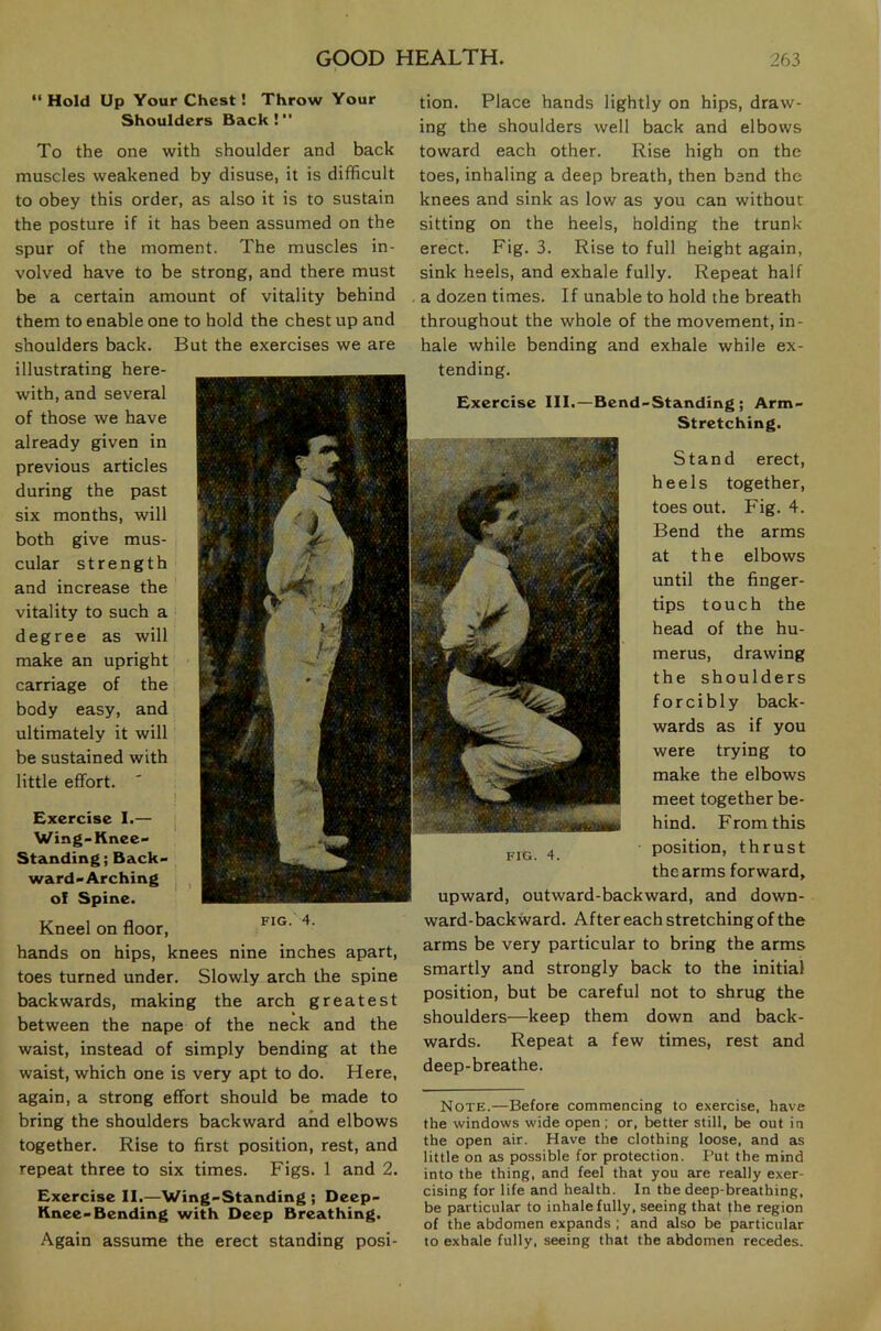 “Hold Up Your Chest! Throw Your Shoulders Back! To the one with shoulder and back muscles weakened by disuse, it is difficult to obey this order, as also it is to sustain the posture if it has been assumed on the spur of the moment. The muscles in- volved have to be strong, and there must be a certain amount of vitality behind them to enable one to hold the chest up and shoulders back. But the exercises we are illustrating here- with, and several of those we have already given in previous articles during the past six months, will both give mus- cular strength and increase the vitality to such a degree as will make an upright carriage of the body easy, and ultimately it will be sustained with little effort. Exercise 1.— Wing-Knee- Standing ;Back- ward-Arching of Spine. Kneel on floor, hands on hips, knees nine inches apart, toes turned under. Slowly arch the spine backwards, making the arch greatest between the nape of the neck and the waist, instead of simply bending at the waist, which one is very apt to do. Here, again, a strong effort should be made to bring the shoulders backward and elbows together. Rise to first position, rest, and repeat three to six times. Figs. 1 and 2. Exercise II.—Wing-Standing ; Deep- Knee-Bending with Deep Breathing. Again assume the erect standing posi- tion. Place hands lightly on hips, draw- ing the shoulders well back and elbows toward each other. Rise high on the toes, inhaling a deep breath, then band the knees and sink as low as you can without sitting on the heels, holding the trunk- erect. Fig. 3. Rise to full height again, sink heels, and exhale fully. Repeat half a dozen times. If unable to hold the breath throughout the whole of the movement, in- hale while bending and exhale while ex- tending. Exercise III.—Bend-Standing; Arn\- Stretching. Stand erect, heels together, toes out. Fig. 4. Bend the arms at the elbows until the finger- tips touch the head of the hu- merus, drawing the shoulders forcibly back- wards as if you were trying to make the elbows meet together be- hind. From this position, thrust the arms forward, upward, outward-backward, and down- ward-backward. After each stretching of the arms be very particular to bring the arms smartly and strongly back to the initial position, but be careful not to shrug the shoulders—keep them down and back- wards. Repeat a few times, rest and deep-breathe. Note.—Before commencing to exercise, have the windows wide open; or, better still, be out in the open air. Have the clothing loose, and as little on as possible for protection. I’ut the mind into the thing, and feel that you are really exer- cising for life and health. In the deep-breathing, be particular to inhale fully, seeing that the region of the abdomen expands ; and also be particular to exhale fully, seeing that the abdomen recedes.