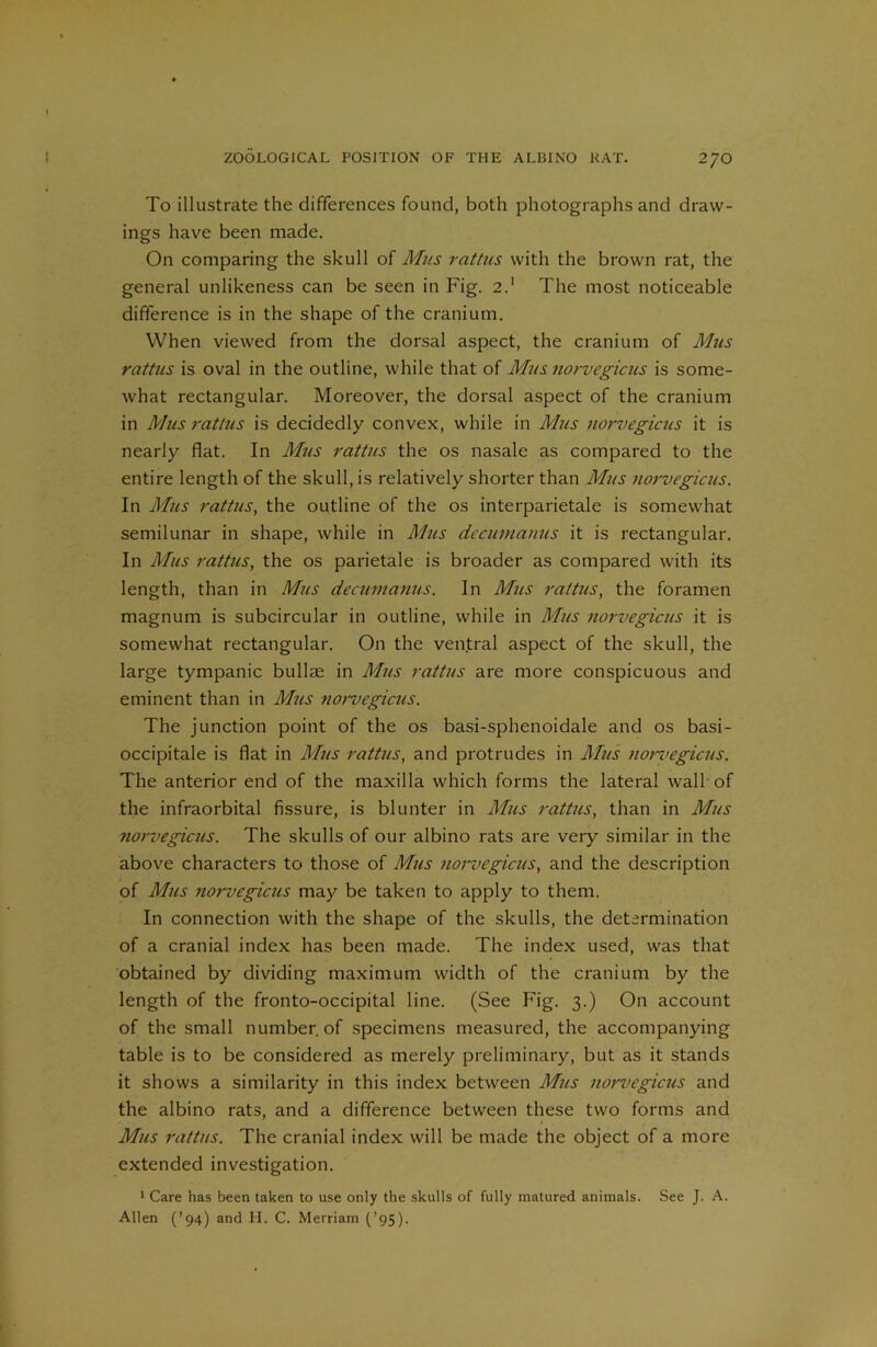 To illustrate the differences found, both photographs and draw- ings have been made. On comparing the skull of Mus rattus with the brown rat, the general unlikeness can be seen in Fig. 2.1 The most noticeable difference is in the shape of the cranium. When viewed from the dorsal aspect, the cranium of Mus rattus is oval in the outline, while that of Mus norvegicus is some- what rectangular. Moreover, the dorsal aspect of the cranium in Mus rattus is decidedly convex, while in Mus norvegicus it is nearly flat. In Mus rattus the os nasale as compared to the entire length of the skull, is relatively shorter than Mus norvegicus. In Mus rattus, the outline of the os interparietale is somewhat semilunar in shape, while in Mus decumanus it is rectangular. In Mus rattus, the os parietale is broader as compared with its length, than in Mus decumanus. In Mus rattus, the foramen magnum is subcircular in outline, while in Mus norvegicus it is somewhat rectangular. On the ventral aspect of the skull, the large tympanic bullae in Mus rattus are more conspicuous and eminent than in Mus norvegicus. The junction point of the os basi-sphenoidale and os basi- occipitale is flat in Mus rattus, and protrudes in Mus norvegicus. The anterior end of the maxilla which forms the lateral wall of the infraorbital fissure, is blunter in Mus rattus, than in Mus norvegicus. The skulls of our albino rats are very similar in the above characters to those of Mus norvegicus, and the description of Mus norvegicus may be taken to apply to them. In connection with the shape of the skulls, the determination of a cranial index has been made. The index used, was that obtained by dividing maximum width of the cranium by the length of the fronto-occipital line. (See Fig. 3.) On account of the small number, of specimens measured, the accompanying table is to be considered as merely preliminary, but as it stands it shows a similarity in this index between Mus norvegicus and the albino rats, and a difference between these two forms and Mus rattus. The cranial index will be made the object of a more extended investigation. 1 Care has been taken to use only the skulls of fully matured animals. See J. A. Allen (’94) and Id. C. Merriam (’95).