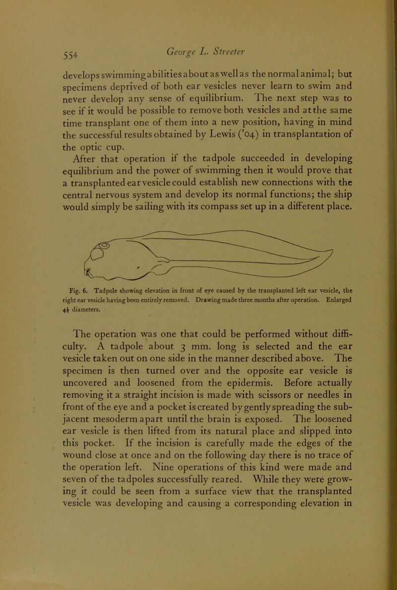 develops swimming abilities about as well as the normal animal; but specimens deprived of both ear vesicles never learn to swim and never develop any sense of equilibrium. The next step was to see if it would be possible to remove both vesicles and at the same time transplant one of them into a new position, having in mind the successful results obtained by Lewis (’04) in transplantation of the optic cup. After that operation if the tadpole succeeded in developing equilibrium and the power of swimming then it would prove that a transplanted ear vesicle could establish new connections with the central nervous system and develop its normal functions; the ship would simply be sailing with its compass set up in a different place. Fig. 6. Tadpole showing elevation in front of eye caused by the transplanted left ear vesicle, the right ear vesicle having been entirely removed. Drawing made three months after operation. Enlarged 4* diameters. The operation was one that could be performed without diffi- culty. A tadpole about 3 mm. long is selected and the ear vesicle taken out on one side in the manner described above. The specimen is then turned over and the opposite ear vesicle is uncovered and loosened from the epidermis. Before actually removing it a straight incision is made with scissors or needles in front of the eye and a pocket is created by gently spreading the sub- jacent mesoderm apart until the brain is exposed. The loosened ear vesicle is then lifted from its natural place and slipped into this pocket. If the incision is carefully made the edges of the wound close at once and on the following day there is no trace of the operation left. Nine operations of this kind were made and seven of the tadpoles successfully reared. While they were grow- ing it could be seen from a surface view that the transplanted vesicle was developing and causing a corresponding elevation in