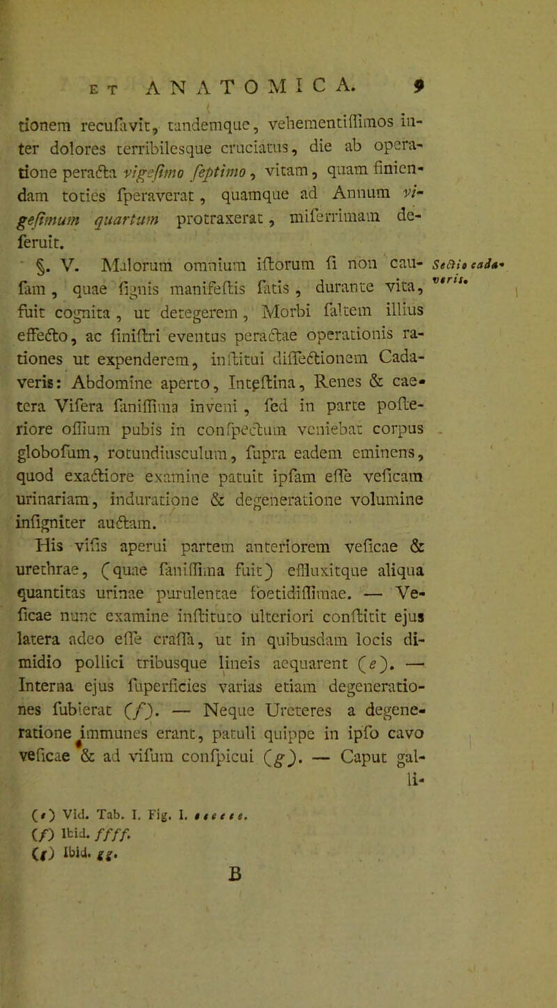 tionera reculavit, tandemque, vehementiflimos in- ter dolores terribilesque cruciatus, die ab opera- tione peradla vige fimo feptimo, vitam, quam finien- dam toties fperaverat, quamque ad Annum vi- geftmum quartum protraxerat, miferrimam de- feruit. §. V. Malorum omnium iftorum fi non cau- s«sth tad*- fam , quae fignis manifeftis fatis, durante vita, fuit cognita , ut detegerem, Morbi falcem illius effedlo, ac finifbri eventus peradlae operationis ra- tiones ut expenderem, inflatui difledtionem Cada- veris: Abdomine aperto, Intpftina, Renes & cae- tera Vifera faniflima inveni, fcd in parte pofle- riore offium pubis in confpeclum veniebat corpus globofum, rotundiusculum, fupra eadem eminens, quod exacliore examine patuit ipfam effe veficam urinariam, induratione & degeneratione volumine infigniter audiam. His vifis aperui partem anteriorem veficae & urethrae, Cquae faniflima fuit) effluxitque aliqua quantitas urinae purulentae foetidiflimae. — Ve- ficae nunc examine inflituto ulteriori conflitit ejus latera adeo efle crafla, ut in quibusdam locis di- midio pollici tribusque lineis aequarent (<?). — Interna ejus fuperficies varias etiam degeneratio- nes fublerat (/). — Neque Ureteres a degene- ratione ^immunes erant, patuli quippe in ipfo cavo veficae & ad vifum confpicui Qg). — Caput gal- li- (O Vid. Tab. I. Fig. 1. ttette. (/) Itid. ffff. (.() Ibiii. gs. B