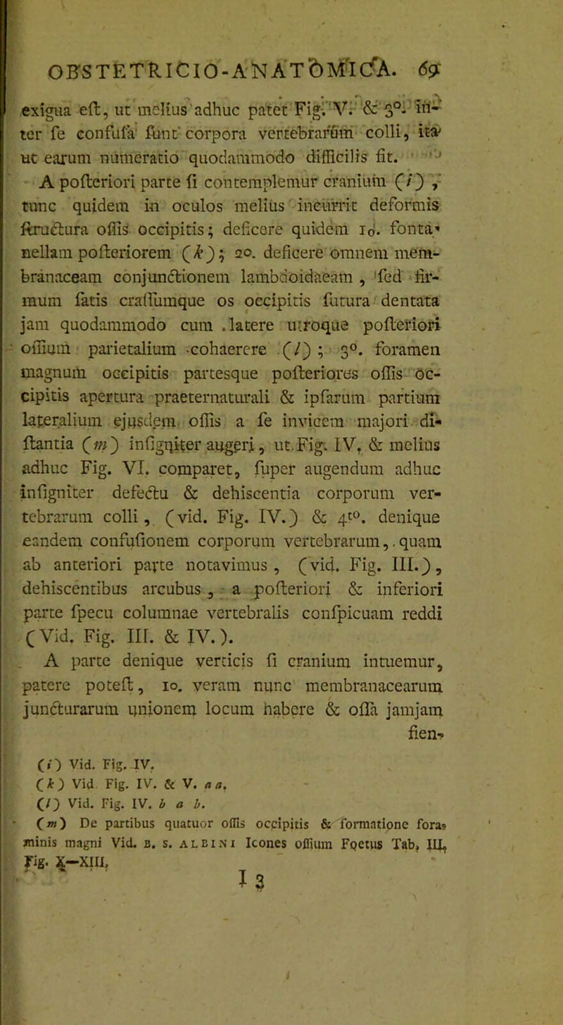 ter fe confuta funt' corpora vertebrarum colli, ita* ut earum numeratio quodammodo difficilis fit. A pofteriori parte fi contemplemur cranium (/) tunc quidem in oculos melius incurrit deformis ftrudlura offis occipitis; deficere quidem id. fbntap nellam pofleriorem (£); 20. deficere omnem mem- branaceam conjunctionem lambdoidaeam , ffied fir- mum fatis cralfumque os occipitis futura dentata jam quodammodo cum .latere utroque pofteriori offium parietalium -cohaerere . (/) ; 30. foramen magnum occipitis partesque pofteriores offis Oc- cipitis apertura praeternaturali & ipfarum partium lateralium ejusdem offis a fe invicem majori di- ftantia (>») infigqiter augeri, ut. Figi IV, & melius adhuc Fig. VI. comparet, fupcr augendum adhuc infigniter defectu & dehiscentia corporum ver- tebrarum colli, (vid. Fig. IV.) & 4t0. denique eandem confufionem corporum vertebrarum,. quam ab anteriori parte notavimus, (vid. Fig. III.), dehiscentibus arcubus, a pofteriori & inferiori parte fpecu columnae vertebralis confpicuam reddi (Vid. Fig. III. & IV.). A parte denique verticis fi cranium intuemur, patere poteft, 10. veram nunc membranacearum juncturarum unionem locum habere & ofla jamjam Aen- CO Vid. Fig. IV. ( k ) Vid Fig. IV. & V. a a, (o Vid. Fig. IV. b a b. C«) De partibus quatuor offis occipitis & formatione fora? minis magni Vid. b. s. albini Icones offium Foetus Tab, III, fig- X—XIII.