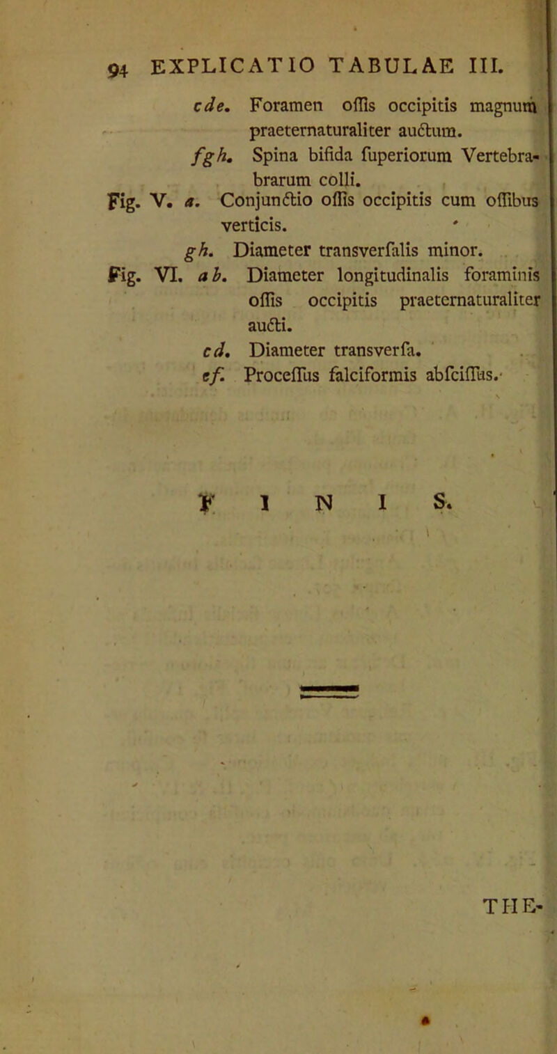 ede. Foramen offis occipitis magnum praeternaturaliter audtura. fgh. Spina bifida fuperiorum Vertebra- brarum colli. Fig. V. a. Conjundtio offis occipitis cum offibus verticis. gh. Diameter transverfalis minor. Fig. VI. ab. Diameter longitudinalis foraminis offis occipitis praeternaturaliter audii. cd. Diameter transverfa. ef. Proceflus falciformis abfciffiis.- f. 1 N I S. \ THE-