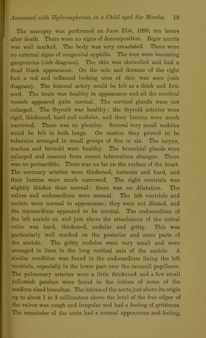The necropsy was performed on June 21st, 1899, ten hours after death. There were no signs of decomposition. Rigor mortis was well marked. The body was very emaciated. There were no external signs of congenital syphilis. The toes were becoming gangrenous (vide diagram). The skin was shrivelled and had a dead black appearance. On the sole and dorsum of the right foot a red and inflamed looking area of skin was seen (vide diagram). The femoral artery could be felt as a thick and firm cord. The brain was healthy in appearance and all the cerebral vessels appeared quite normal. The cervical glands were not enlarged. The thyroid was healthy; the thyroid arteries were rigid, thickened, hard and nodular, and their lumina were much narrowed. There was no pleurisy. Several very small nodules could be felt in both lungs. On section they proved to be tubercles arranged in small groups of five or six. The larynx, trachea and bronchi were healthy. The bronchial glands were enlarged and caseous from recent tuberculous changes. There was no pericarditis. There was no fat on the surface of the heart. The coronary arteries were thickened, tortuous and hard, and their lumina were much narrowed. The right ventricle was slightly thicker than normal; there was no dilatation. The valves and endocardium were normal. The left ventricle and auricle were normal in appearance; they were not dilated, and the myocardium appeared to be normal. The endocardium of the left auricle at, and just above the attachment of the mitral valve was hard, thickened, nodular and gritty. This was particularly well marked on the posterior and outer parts of the auricle. The gritty nodules were very small and were arranged in lines in the long vertical axis of the auricle. A similar condition was found in the endocardium lining the left ventricle, especially in the lower part over the musculi papillares. The pulmonary arteries were a little thickened and a few small yellowish patches were found in the intima of some of the medium sized branches. The intima of the aorta just above its origin up to about 1 to 2 millimetres above the level of the free edges of the valves was rough and irregular and had a feeling of grittiness. The remainder of the aorta had a normal appearance and feeling,