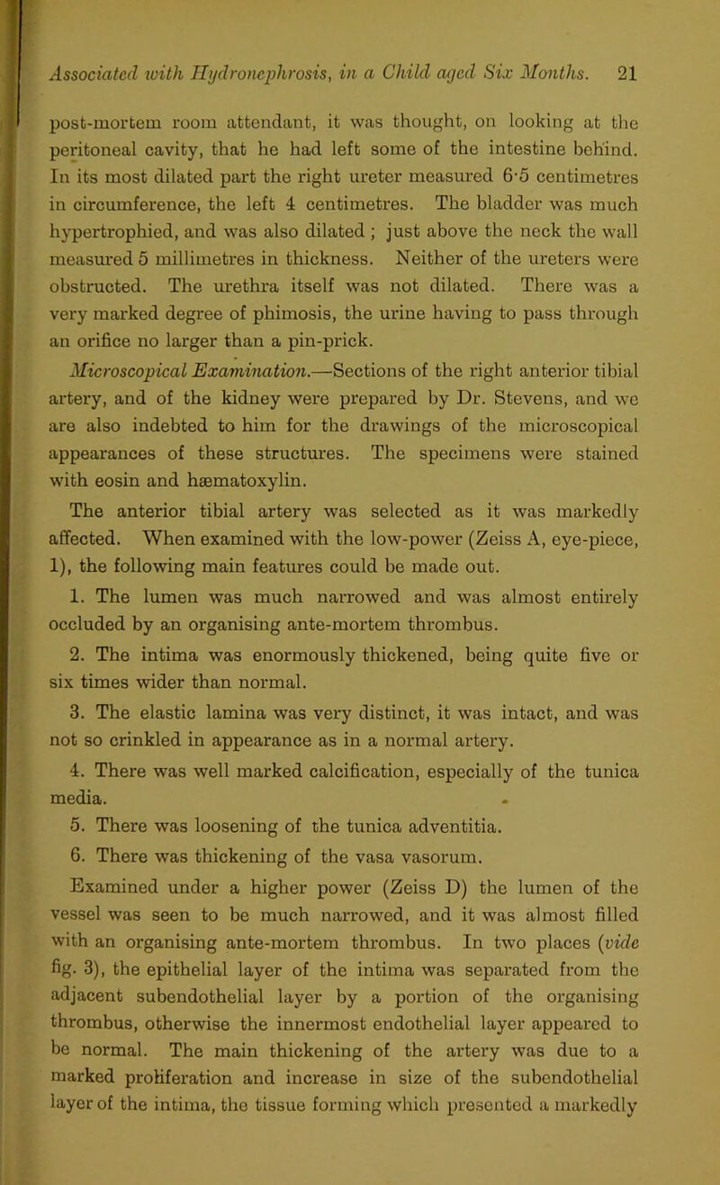 post-mortem room attendant, it was thought, on looking at the peritoneal cavity, that he had left some of the intestine behind. In its most dilated part the right ureter measured 6-5 centimetres in circumference, the left 4 centimetres. The bladder was much hypertrophied, and was also dilated ; just above the neck the wall measured 5 millimetres in thickness. Neither of the ureters were obstructed. The urethra itself was not dilated. There was a very marked degree of phimosis, the urine having to pass through an orifice no larger than a pin-prick. Microscopical Examination.—Sections of the right anterior tibial artery, and of the kidney were prepared by Dr. Stevens, and we are also indebted to him for the drawings of the microscopical appearances of these structures. The specimens were stained with eosin and haematoxylin. The anterior tibial artery was selected as it was markedly affected. When examined with the low-power (Zeiss A, eye-piece, 1), the following main features could be made out. 1. The lumen was much narrowed and was almost entirely occluded by an organising ante-mortem thrombus. 2. The intima was enormously thickened, being quite five or six times wider than normal. 3. The elastic lamina was very distinct, it was intact, and was not so crinkled in appearance as in a normal artery. 4. There was well marked calcification, especially of the tunica media. 5. There was loosening of the tunica adventitia. 6. There was thickening of the vasa vasorum. Examined under a higher power (Zeiss D) the lumen of the vessel was seen to be much narrowed, and it was almost filled with an organising ante-mortem thrombus. In two places {vide fig. 3), the epithelial layer of the intima was separated from the adjacent subendothelial layer by a portion of the organising thrombus, otherwise the innermost endothelial layer appeared to be normal. The main thickening of the artery was due to a marked proliferation and increase in size of the subendothelial layer of the intima, the tissue forming which presented a markedly