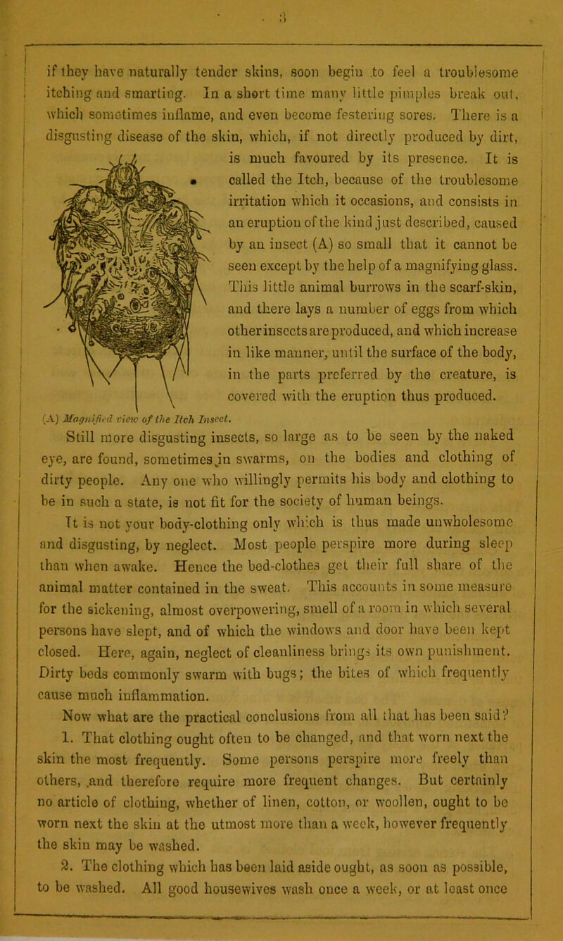 if they have naturally tender skins, soon begin .to feel a troublesome ! itching and smarting. In a short time many little pimples break out, which sometimes inflame, and even become festering sores. There is a ' disgusting disease of the skin, which, if not directly produced by dirt, is much favoured by its presence. It is called the Itch, because of the troublesome j irritation which it occasions, and consists in j an eruption of the kind just described, caused by an insect (A) so small that it cannot be seen except by the help of a magnifying glass. This little animal burrows in the scarf-skin, | 1 and there lays a number of eggs from w'hich other insects are produced, and which increase in like manner, until the surface of the body, in the parts preferred by the creature, is covered with the eruption thus produced. (A) Magiiifii d view of the Itch Insect. j Still more disgusting insects, so large as to be seen by the naked I eye, are found, sometimes jn swarms, on the bodies and clothing of { dirty people. Any one who willingly permits his body and clothing to be in such a state, is not fit for the society of human beings. It is not your body-clothing only which is thus made unwholesome and disgusting, by neglect. Most people perspire more during sleep j than when awake. Hence the bed-clothes get their full share of the animal matter contained in the sweat. This accounts in some measure for the sickening, almost overpowering, smell of a room in which several persons have slept, and of which the windows and door have been kept closed. Here, again, neglect of cleanliness brings its own punishment. Dirty beds commonly swarm with bugs; the bites of which frequently cause much inflammation. Now what are the practical conclusions from all that has been said'? 1. That clothing ought often to be changed, and that worn next the skin the most frequently. Some persons perspire more freely than others, .and therefore require more frequent changes. But certainly no article of clothing, whether of linen, cotton, or woollen, ought to be worn next the skin at the utmost more than a week, however frequently the skin may be washed. 2. The clothing which has been laid aside ought, as soon as possible, to be washed. All good housewives wash once a week, or at least once 1