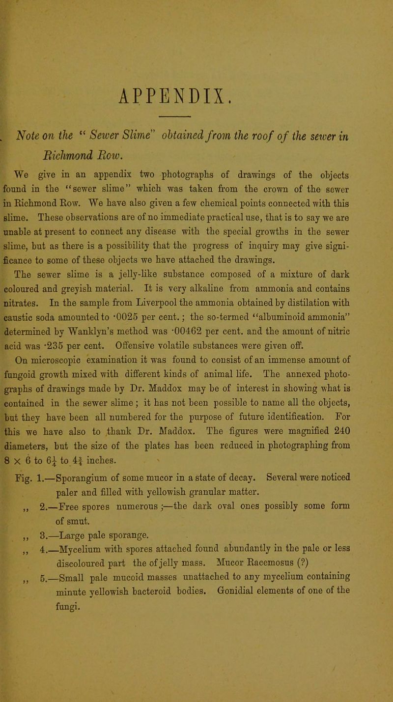 APPENDIX. „ Note on the “ Server Slime” obtained from the roof of the server in Richmond Roio. We give in an appendix two photographs of drawings of the objects found in the “sewer slime” which was taken from the crown of the sower in Richmond Row. We have also given a few chemical points connected with this slime. These observations are of no immediate practical use, that is to say we are unable at present to connect any disease with the special growths in the sewer slime, but as there is a possibility that the progress of inquiry may give signi- ficance to some of these objects we have attached the drawings. The sewer slime is a jelly-like substance composed of a mixture of dark coloured and greyish material. It is very alkaline from ammonia and contains nitrates. In the sample from Liverpool the ammonia obtained by distilation with caustic soda amounted to ‘0025 per cent.; the so-termed “albuminoid ammonia” determined by Wanklyn’s method was -00462 per cent, and the amount of nitric acid was -235 per cent. Offensive volatile substances were given off. On microscopic examination it was found to consist of an immense amount of fungoid growth mixed with different kinds of animal life. The annexed photo- graphs of drawings made by Dr. Maddox may be of interest in showing what is contained in the sewer slime ; it has not been possible to name all the objects, but they have been all numbered for the purpose of future identification. For this we have also to thank Dr. Maddox. The figures were magnified 240 diameters, but the size of the plates has been reduced in photographing from 8 x 6 to 6^ to 4f inches. Fig. 1.—Sporangium of some mucor in a state of decay. Several were noticed paler and filled with yellowish granular matter. „ 2.—Free spores numerous;—the dark oval ones possibly some form of smut. ,, 3.—Large pale sporange. n 4. Mycelium with spores attached found abundantly in the pale or less discoloured part the of jelly mass. Mucor Racemosus (?) it 5 Small pale mucoid masses unattached to any mycelium containing minute yellowish bacteroid bodies. Gonidial elements of one of the fungi.