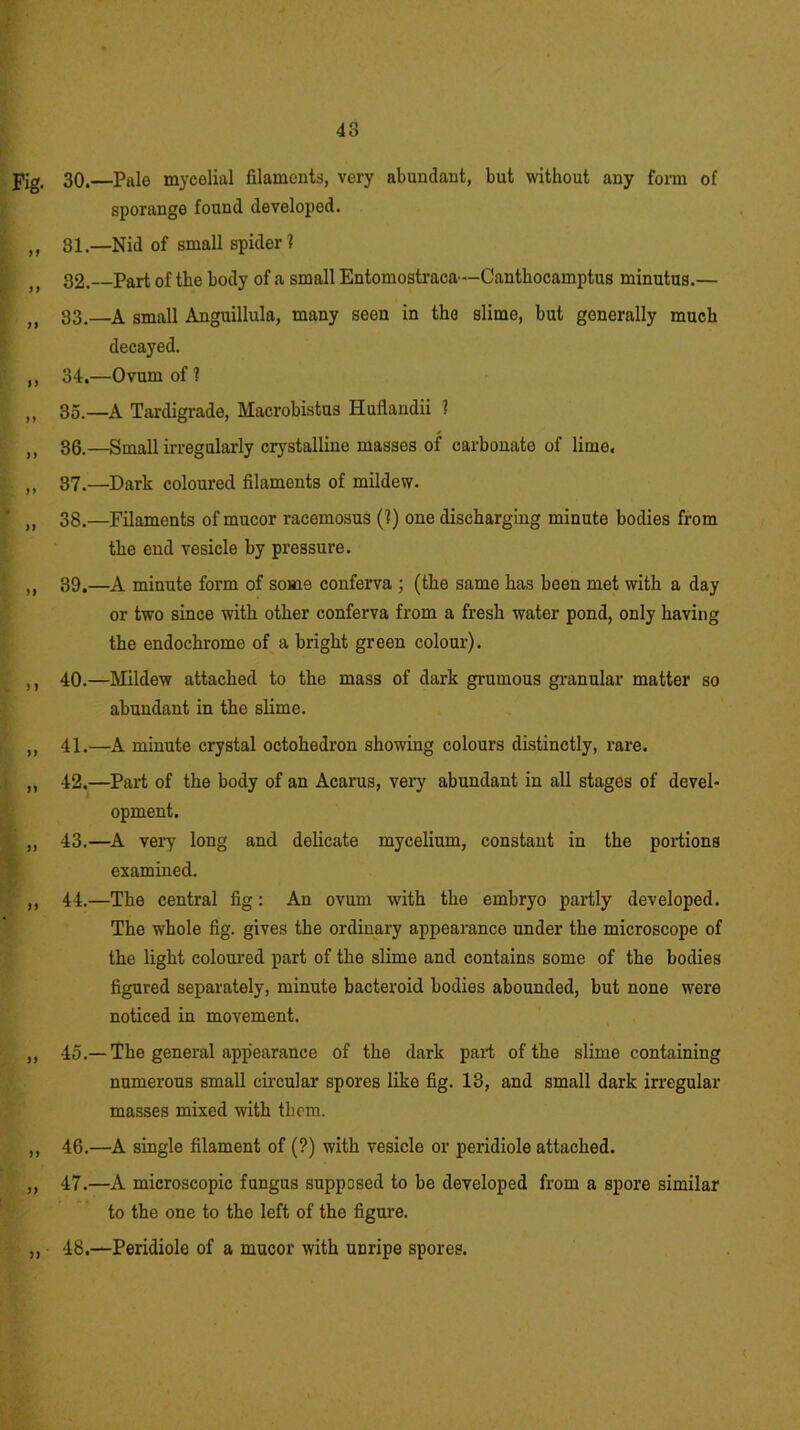 Fig. 30.—Pale mycelial filaments, very abundant, but without any form of sporange found developed. ,, 31.—Nid of small spider! 32. Part of the body of a small Entomostraca—Canthocamptus minutus.— M 33.—A small Anguillula, many seen in the slime, but generally much decayed. ,, 34.—Ovum of? „ 35.—A Tardigrade, Macrobistus Huflandii ? ,, 36.—Small irregularly crystalline masses of carbonate of lime. ,, 37.—Dark coloured filaments of mildew. „ 38.—Filaments of mucor racemosus (?) one discharging minute bodies from the end vesicle by pressure. „ 39.—A minute form of some conferva ; (the same has been met with a day or two since with other conferva from a fresh water pond, only having the endochrome of a bright green colour). ,, 40.—Mildew attached to the mass of dark grumous granular matter so abundant in the slime. ,, 41.—A minute crystal octokedron showing colours distinctly, rare. „ 42.—Part of the body of an Acarus, very abundant in all stages of devel- opment. „ 43.—A very long and delicate mycelium, constant in the portions examined. ,, 44.—The central fig: An ovum with the embryo partly developed. The whole fig. gives the ordinary appearance under the microscope of the light coloured part of the slime and contains some of the bodies figured separately, minute bacteroid bodies abounded, but none were noticed in movement. ,, 45.— The general appearance of the dark part of the slime containing numerous small circular spores like fig. 13, and small dark irregular masses mixed with them. ,, 46.—A single filament of (?) with vesicle or peridiole attached. ,, 47.—A microscopic fungus supposed to be developed from a spore similar to the one to the left of the figure. „ 48.—Peridiole of a mucor with unripe spores.