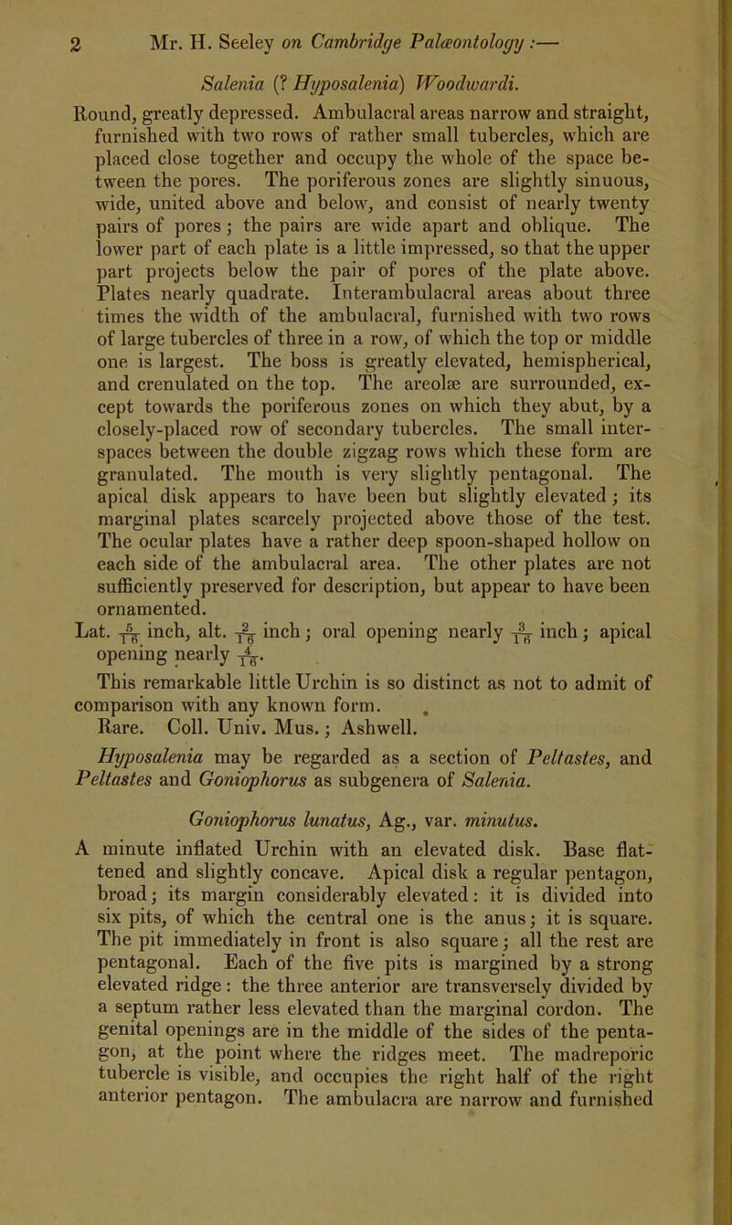 Salenia (? Hyposalenia) Woodwardi. Round, greatly depressed. Ambulacral areas narrow and straight, furnished with two rows of rather small tubercles, which are placed close together and occupy the whole of the space be- tween the pores. The poriferous zones are slightly sinuous, wide, united above and below, and consist of nearly twenty pairs of pores; the pairs are wide apart and oblique. The lower part of each plate is a little impressed, so that the upper ])art projects below the pair of pores of the plate above. Plates nearly quadrate. Interamhulacral areas about three times the width of the ambulacral, furnished with two rows of large tubercles of three in a row, of which the top or middle one is largest. The boss is greatly elevated, hemispherical, and crenulated on the top. The areolae are surrounded, ex- cept towards the poriferous zones on which they abut, by a closely-placed row of secondary tubercles. The small inter- spaces between the double zigzag rows which these form are granulated. The mouth is very slightly pentagonal. The apical disk appears to have been but slightly elevated; its marginal plates scarcely projected above those of the test. The ocular plates have a rather deep spoon-shaped hollow on each side of the ambulacral area. The other plates are not sufficiently preserved for description, but appear to have been ornamented. Lat. ^ inch, alt. inch ; oral opening nearly ^ inch ; apical opening nearly This remarkable little Urchin is so distinct as not to admit of comparison with any known form. , Rare. Coll. Univ. Mus. j Ash well. Hyposalenia may be regarded as a section of Peltastes, and Peltastes and Goniophorus as subgenera of Salenia. Goniophorus lunatus, Ag., var. minutus. A minute inflated Urchin with an elevated disk. Base flat- tened and slightly concave. Apical disk a regular pentagon, broad; its margin considerably elevated: it is divided into six pits, of which the central one is the anus; it is square. The pit immediately in front is also square; all the rest are pentagonal. Each of the five pits is margined by a strong elevated ridge: the three anterior are transversely divided by a septum rather less elevated than the marginal cordon. The genital openings are in the middle of the sides of the penta- gon, at the point where the ridges meet. The madreporic tubercle is visible, and occupies the right half of the right anterior pentagon. The ambulacra are narrow and furnished i;