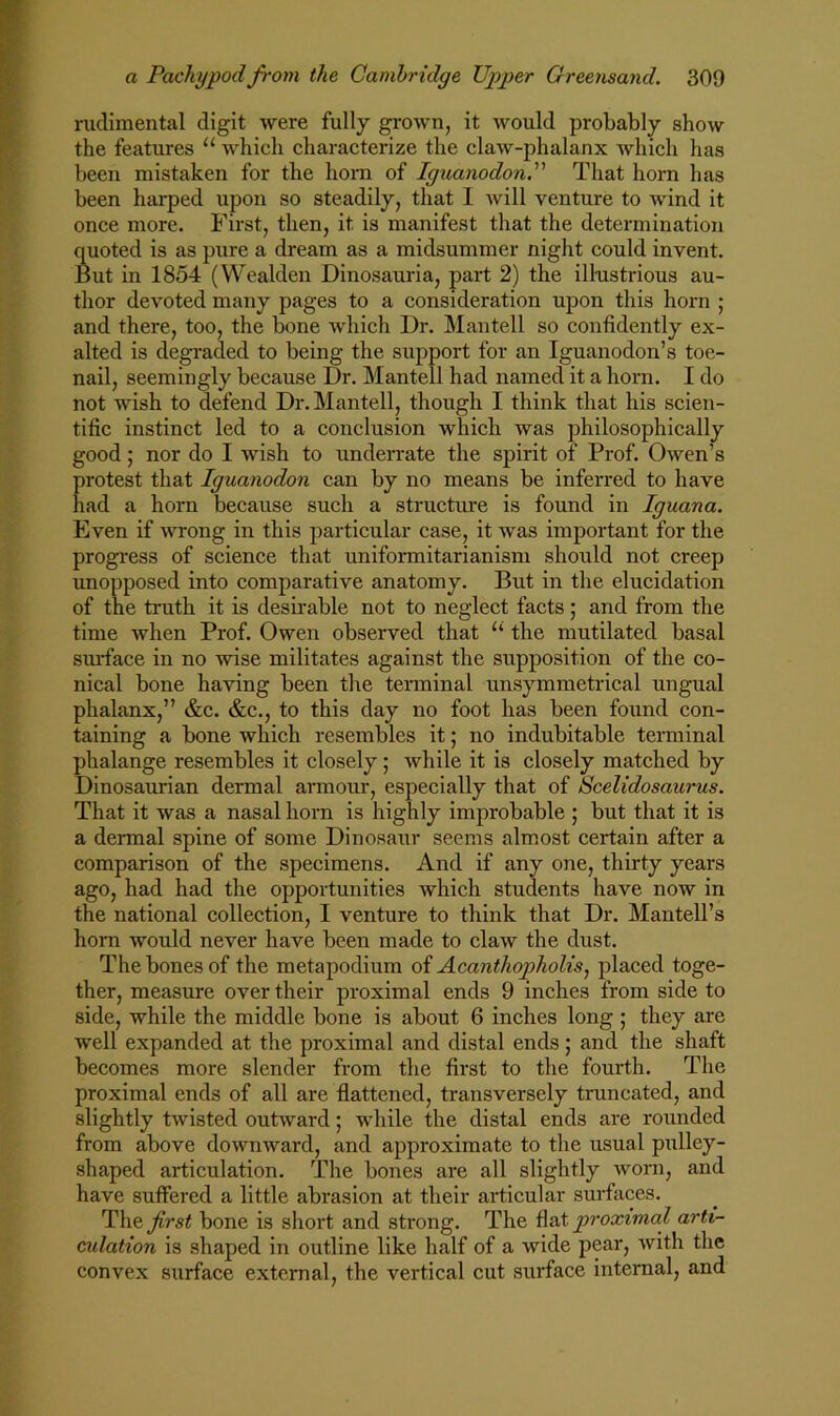 nidimental digit were fully grown, it would probably show the features “ which characterize the claw-phalanx Avhich has been mistaken for the hom of Iguanodon, That horn has been hai-ped upon so steadily, that I will venture to wind it once more. First, then, it is manifest that the determination quoted is as pure a dream as a midsummer night could invent. But in 1854 (Wealden Dinosauria, part 2) the illustrious au- thor devoted many pages to a consideration upon this horn ; and there, too, the bone which Dr. Mantell so confidently ex- alted is degraded to being the support for an Iguanodon’s toe- nail, seemingly because Dr. Mantell had named it a horn. I do not wish to defend Dr. Mantell, though I think that his scien- tific instinct led to a conclusion which was philosophically good; nor do I wish to undeiTate the spirit of Prof. Owen’s protest that Iguanodon can by no means be inferred to have had a horn because such a structure is found in Iguana. Even if wrong in this particular case, it was important for the progress of science that uniformitarianism should not creep unopposed into comparative anatomy. But in the elucidation of the truth it is desirable not to neglect facts; and from the time when Prof. Owen observed that the mutilated basal smdace in no wise militates against the supposition of the co- nical bone having been the terminal unsymmetrical ungual phalanx,” &c. &c., to this day no foot has been found con- taining a bone which resembles it; no indubitable terminal phalange resembles it closely; while it is closely matched by Dinosaurian dermal armour, especially that of Scelidosaurus. That it was a nasal horn is highly improbable ; but that it is a dermal spine of some Dinosaur seems almost certain after a comparison of the specimens. And if any one, thirty years ago, had had the opportunities which students have now in the national collection, I venture to think that Dr. Mantell’s hom would never have been made to claw the dust. The bones of the metapodium of Acanthopholisj placed toge- ther, measure over their proximal ends 9 inches from side to side, while the middle bone is about 6 inches long ; they are well expanded at the proximal and distal ends; and the shaft becomes more slender from the first to the fourth. The proximal ends of all are flattened, transversely truncated, and slightly twisted outward; while the distal ends are rounded from above downward, and approximate to the usual pulley- shaped articulation. The bones are all slightly worn, and have suffered a little abrasion at their articular surfaces. first bone is short and strong. The proximal arti- cidation is shaped in outline like half of a wide pear, with the convex surface external, the vertical cut surface internal, and