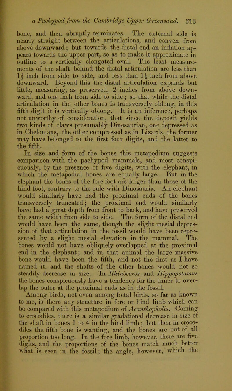 bone, and then abruptly terminates. The external side is nearly straight between the articulations, and convex from above downward ; but towards the distal end an inflation ap- pears towards the upper part, so as to make it approximate in outline to a vertically elongated oval. The least measure- ments of the shaft behind the distal articulation are less than 1^ inch from side to side, and less than inch from above downward. Beyond this the distal articulation expands but little, measuring, as preserved, 2 inches from above down- ward, and one inch from side to side; so that while the distal articulation in the other bones is transversely oblong, in this fifth digit it is vertically oblong. It is an inference, perhaps not unworthy of consideration, that since the deposit yields two kinds of claws presumably Dinosaurian, one depressed as in Chelonians, the other compressed as in Lizards, the former may have belonged to the first four digits, and the latter to the fifth. In size and form of the bones this metapodium suggests comparison with the pachypod mammals, and most conspi- cuously, by the presence of five digits, with the elephant, in which the metapodial bones are equally large. But in the elephant the bones of the fore foot are larger than those of the hind foot, contrary to the rule with Dinosauria. An elephant would similarly have had the proximal ends of the bones transversely truncated; the proximal end would similarly have had a great depth from front to back, and have preserved the same width from side to side. The form of the distal end would have been the same, though the slight mesial depres- sion of that articulation in the fossil would have been repre- sented by a slight mesial elevation in the mammal. The bones would not have obliquely overlapped at the proximal end in the elephant; and in that animal the large massive bone would have been the fifth, and not the first as I have named it, and the shafts of the other bones would not so steadily decrease in size. In Rhinoceros and Hippopotamus the bones conspicuously have a tendency for the inner to over- lap the outer at the proximal ends as in the fossil. Among birds, not even among foetal birds, so far as known to me, is there any structure in fore or hind limb which can be compared with this metapodium of Acanthopholis. Coming to crocodiles, there is a similar gradational decrease in size of the shaft in bones 1 to 4 in the hind limb ; but then in croco- diles the fifth bone is wanting, and the bones are out of all proportion too long. In the fore limb, however, there are five digits, and the proportions of the bones match much better what is seen in the fossil; the angle, however, which the