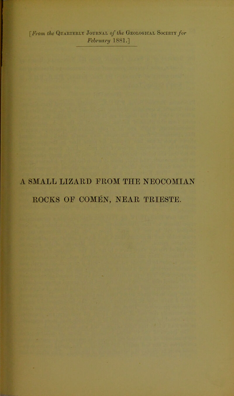 [From, the Quarterly Journal of the Geological Society for February 1881.] A SMALL LIZARD FROM THE NEOCOMIAN ROCKS OF COMEN, NEAR TRIESTE.