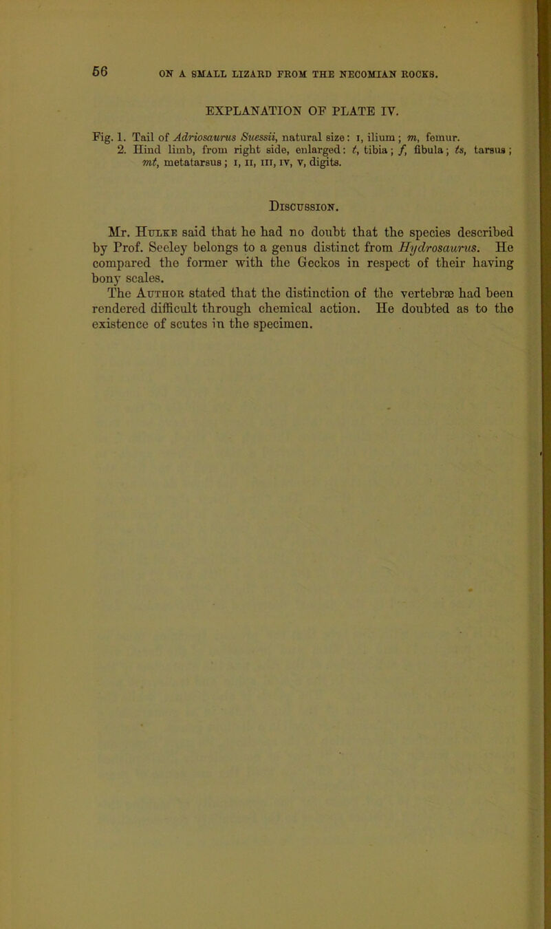 66 ON A SMALL LIZARD FROM THE NECOMIAN ROCKS. EXPLANATION OF PLATE IV. Fig. 1. Tail of Adriosaurus Suessii, natural size: i, ilium ; m, femur. 2. Hind limb, from right side, enlarged: t, tibia; /, fibula; ts, tarsus; mt, metatarsus; i, n, in, iv, v, digits. Discussion. Mr. Hulke said that he had no doubt that the species described by Prof. Seeley belongs to a genus distinct from Hydrosciurus. He compared the former with the Geckos in respect of their having bony scales. The Autuor stated that the distinction of the vertebrae had been rendered difficult through chemical action. He doubted as to the existence of scutes in the specimen.
