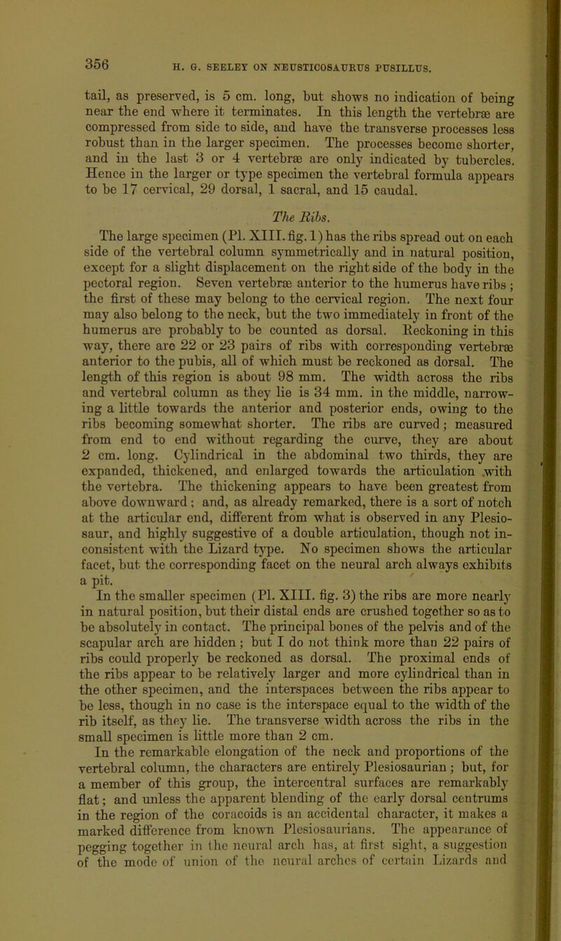 tail, as preserved, is 5 cm. long, but shows no indication of being near the end where it terminates. In this length the vertebrm are compressed from side to side, and have the transverse processes less robust than in the larger specimen. The processes become shorter, and iu the last 3 or 4 vertebras are only indicated by tubercles. Hence in the larger or type specimen the vertebral formula appears to be 17 cervical, 29 dorsal, 1 sacral, and 15 caudal. The Ribs. The large specimen (PI. XIII. fig. 1) has the ribs spread out on each side of the vertebral column symmetrically and in natural position, except for a slight displacement on the right side of the body in the pectoral region. Seven vertebrae anterior to the humerus have ribs ; the first of these may belong to the cervical region. The next four may also belong to the neck, but the two immediately in front of the humerus are probably to be counted as dorsal. Eeckoning in this way, there are 22 or 23 pairs of ribs with corresponding vertebrae anterior to the pubis, all of which must be reckoned as dorsal. The length of this region is about 98 mm. The width across the ribs and vertebral column as they lie is 34 mm. in the middle, narrow- ing a little towards the anterior and posterior ends, owing to the ribs becoming somewhat shorter. The ribs are curved; measured from end to end without regarding the curve, they are about 2 cm. long. Cylindrical in the abdominal two thirds, they are expanded, thickened, and enlarged towards the articulation .with the vertebra. The thickening appears to have been greatest from above downward; and, as already remarked, there is a sort of notch at the articular end, different from what is observed in any Plesio- saur, and highly suggestive of a double articulation, though not in- consistent with the Lizard type. No specimen shows the articular facet, but the corresponding facet on the neural arch always exhibits a pit. In the smaller specimen (PI. XIII. fig. 3) the ribs are more nearly in natural position, but their distal ends are crushed together so as to be absolutely in contact. The principal bones of the pelvis and of the scapular arch are hidden; but I do not think more than 22 pairs of ribs could properly be reckoned as dorsal. The proximal ends of the ribs appear to be relatively larger and more cylindrical than in the other specimen, and the interspaces between the ribs appear to be less, though in no case is the interspace equal to the width of the rib itself, as they lie. The transverse width across the ribs in the small specimen is little more than 2 cm. In the remarkable elongation of the neck and proportions of the vertebral column, the characters are entirely Plesiosaurian; but, for a member of this group, the intercentral surfaces are remarkably flat; and unless the apparent blending of the early dorsal centrums in the region of the coracoids is an accidental character, it makes a marked difference from known Plesiosaurians. The appearance of pegging together in the neural arch has, at first sight, a suggestion of the mode of union of the neural arches of certain Lizards and