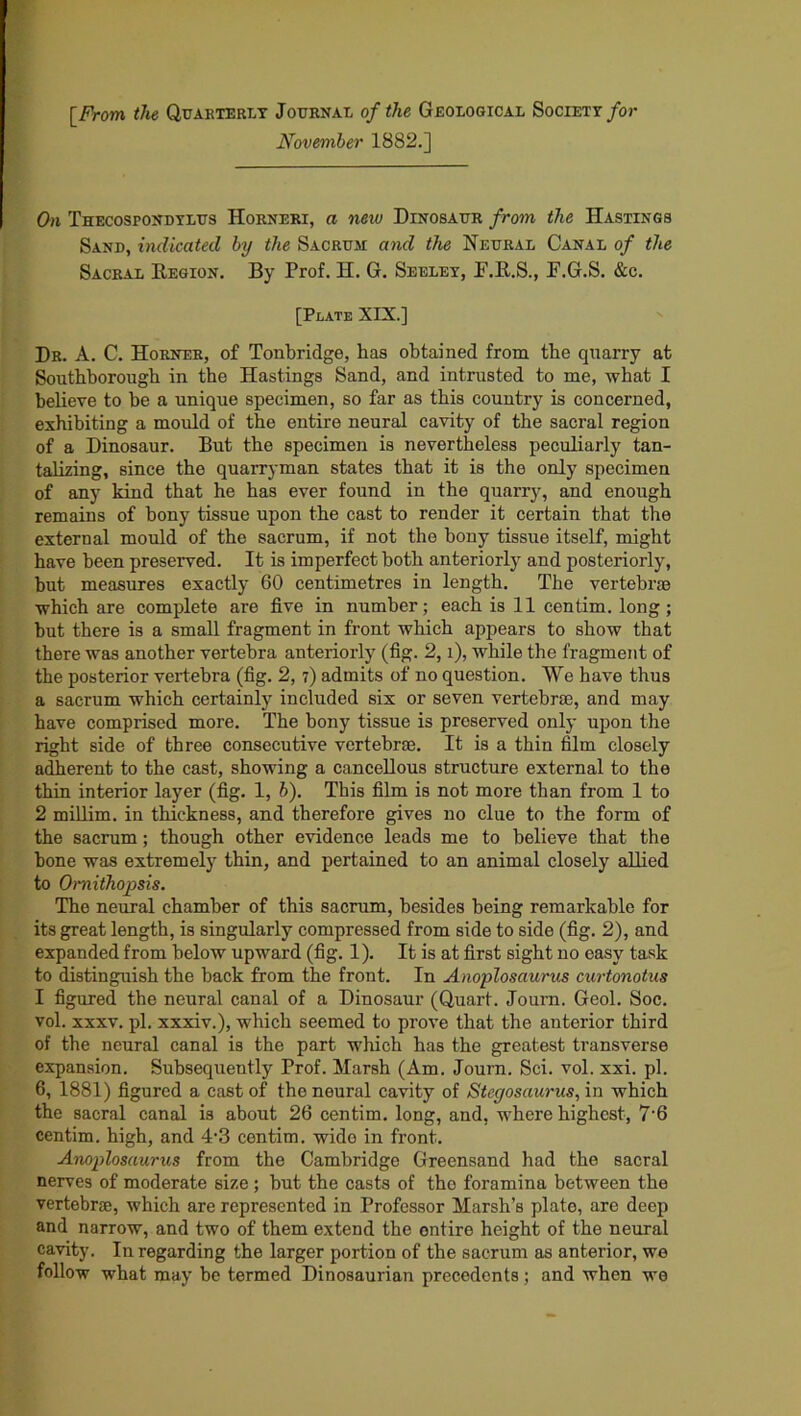 [From the Quarterly Journal of the Geological Society for November 1882.] On Thecospondylus Horneri, a new Dinosaur from the Hastings Sand, indicated by the Sacrum and the Neural Canal of the Sacral Region. By Prof. H. G. Seeley, P.R.S., P.G.S. &c. [Plate XIX.] Dr. A. C. Horner, of Tonbridge, has obtained from the quarry at Southborough in the Hastings Sand, and intrusted to me, what I believe to be a unique specimen, so far as this country is concerned, exhibiting a mould of the entire neural cavity of the sacral region of a Dinosaur. Rut the specimen is nevertheless peculiarly tan- talizing, since the quarryman states that it is the only specimen of any kind that he has ever found in the quarry, and enough remains of bony tissue upon the cast to render it certain that the external mould of the sacrum, if not the bony tissue itself, might have been preserved. It is imperfect both anteriorly and posteriorly, but measures exactly 60 centimetres in length. The vertebra which are complete are five in number; each is 11 centim. long; but there is a small fragment in front which appears to show that there was another vertebra anteriorly (fig. 2, i), while the fragment of the posterior vertebra (fig. 2,7) admits of no question. We have thus a sacrum which certainly included six or seven vertebra, and may have comprised more. The bony tissue is preserved only upon the right side of three consecutive vertebrae. It is a thin film closely adherent to the cast, showing a cancellous structure external to the thin interior layer (fig. 1, b). This film is not more than from 1 to 2 millim. in thickness, and therefore gives no clue to the form of the sacrum; though other evidence leads me to believe that the bone was extremely thin, and pertained to an animal closely allied to Omithopsis. The neural chamber of this sacrum, besides being remarkable for its great length, is singularly compressed from side to side (fig. 2), and expanded from below upward (fig. 1). It is at first sight no easy task to distinguish the back from the front. In Anoplosaurus curtonotus I figured the neural canal of a Dinosaur (Quart. Journ. Geol. Soc. vol. xxxv. pi. xxxiv.), which seemed to prove that the anterior third of the neural canal is the part which has the greatest transverse expansion. Subsequently Prof. Marsh (Am. Journ. Sci. vol. xxi. pi. 6, 1881) figured a cast of the neural cavity of Stegosaurus, in which the sacral canal is about 26 centim. long, and, where highest, 7 6 centim. high, and 4\3 centim. wide in front. Anoplosaurus from the Cambridge Greensand had the sacral nerves of moderate size; but the casts of the foramina between the vertebra;, which are represented in Professor Marsh’s plate, are deep and narrow, and two of them extend the entire height of the neural cavity. In regarding the larger portion of the sacrum as anterior, we follow what may be termed Dinosaurian precedents; and when we