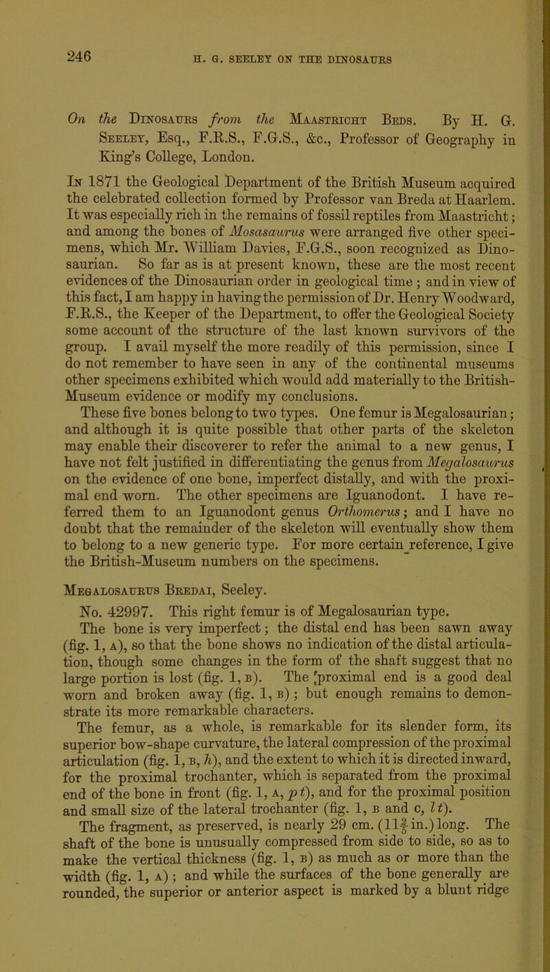 On the Dinosaurs from the Maastricht Beds. By H. G. Seeley, Esq., F.R.S., F.G.S., &c., Professor of Geography in King’s College, London. In 1871 the Geological Department of the British Museum acquired the celebrated collection formed by Professor van Breda at Haarlem. It was especially rich in the remains of fossil reptiles from Maastricht; and among the bones of Mosasaurus were arranged five other speci- mens, which Mr. William Davies, F.G.S., soon recognized as Dino- saurian. So far as is at present known, these are the most recent evidences of the Dinosaurian order in geological time ; and in view of this fact, I am happy in having the permission of Dr. Henry Woodward, F.E.S., the Keeper of the Department, to offer the Geological Society some account of the structure of the last known survivors of the group. I avail myself the more readily of this permission, since I do not remember to have seen in any of the continental museums other specimens exhibited which would add materially to the British- Museum evidence or modify my conclusions. These five bones belong to two types. One femur is Megalosaurian; and although it is quite possible that other parts of the skeleton may enable their discoverer to refer the animal to a new genus, I have not felt justified in differentiating the genus from Merjalosaurus on the evidence of one bone, imperfect distally, and with the proxi- mal end worn. The other specimens are Iguanodont. I have re- ferred them to an Iguanodont genus Orthomerus; and I have no doubt that the remainder of the skeleton will eventually show them to belong to a new generic type. For more certain reference, I give the British-Museum numbers on the specimens. Megalosaurus Bredai, Seeley. No. 42997. This right femur is of Megalosaurian type. The bone is very imperfect; the distal end has been sawn away (fig. 1, a), so that the bone shows no indication of the distal articula- tion, though some changes in the form of the shaft suggest that no large portion is lost (fig. 1, b). The 'proximal end is a good deal worn and broken away (fig. 1, b) ; but enough remains to demon- strate its more remarkable characters. The femur, as a whole, is remarkable for its slender form, its superior bow-shape curvature, the lateral compression of the proximal articulation (fig. 1, b, h), and the extent to which it is directed inward, for the proximal trochanter, which is separated from the proximal end of the bone in front (fig. 1, a, pt), and for the proximal position and small size of the lateral trochanter (fig. 1, b and c, It). The fragment, as preserved, is nearly 29 cm. (Ilf in.) long. The shaft of the bone is unusually compressed from side to side, so as to make the vertical thickness (fig. 1, b) as much as or more than the width (fig. 1, a) ; and while the surfaces of the bone generally are rounded, the superior or anterior aspect is marked by a blunt ridge