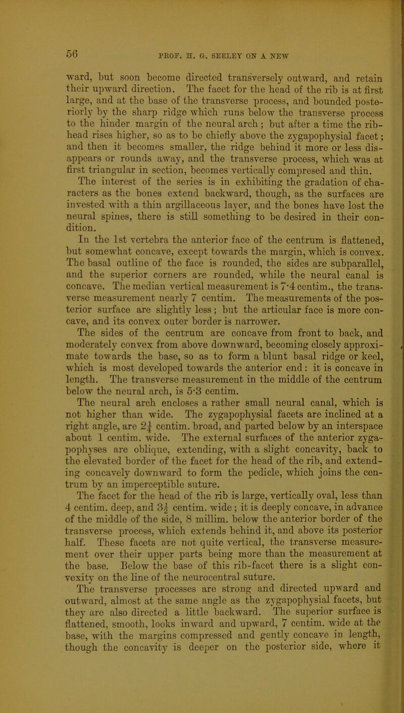 ward, but soon become directed transversely outward, and retain their upward direction. The facet for the head of the rib is at first large, and at the base of the transverse process, and bounded poste- riorly by the sharp ridge which runs below the transverso process to tho hinder margin of the neural arch; but after a time the rib- head rises higher, so as to be chiefly above the zygapophysial facet; and then it becomes smaller, the ridge behind it more or less dis- appears or rounds away, and the transverse process, which was at first triangular in section, becomes vertically compresed and thin. The interest of the series is in exhibiting the gradation of cha- racters as the bones extend backward, though, as the surfaces are invested with a thin argillaceous layer, and the bones have lost the neural spines, there is still something to be desired in their con- dition. In the 1st vertebra the anterior face of the centrum is flattened, but somewhat concave, except towards tho margin, which is convex. The basal outline of the face is rounded, the sides are subparallel, and the superior corners are rounded, while the neural canal is concave. The median vertical measurement is 7-4 centim., tho trans- verse measurement nearly 7 centim. The measurements of the pos- terior surface are slightly less ; but the articular face is more con- cave, and its convex outer border is narrower. The sides of the centrum are concave from front to back, and moderately convex from above downward, becoming closely approxi- mate towards the base, so as to form a blunt basal ridge or keel, which is most developed towards the anterior end: it is concave in length. The transverse measurement in tho middle of the centrum below the neural arch, is 5'3 centim. The neural arch encloses a rather small neural canal, which is not higher than wide. The zygapophysial facets are inclined at a right angle, are 2| centim. broad, and parted below by an interspace about 1 centim. wide. The external surfaces of the anterior zyga- pophyses are oblique, extending, with a slight concavity, back to the elevated border of the facet for the head of tho rib, and extend- ing concavely downward to form the pedicle, which joins the cen- trum by an imperceptible suture. The facet for the head of the rib is large, vertically oval, less than 4 centim. deep, and 3g centim. wide; it is deeply concave, in advance of the middle of the side, 8 millim. below the anterior border of the transverse process, which extends behind it, and above its posterior half. These facets are not quite vertical, tho transverse measure- ment over their upper parts being more than the measurement at the base. Below the base of this rib-facet there is a slight con- vexity on the line of the neurocentral suture. The transverse processes are strong and directed upward and outward, almost at the same angle as the zygapophysial facets, but they are also directed a little backward. The superior surface is flattened, smooth, looks inward and upward, 7 centim. wide at the base, with the margins compressed and gently concave in length, though the concavity is deeper on the posterior side, where it