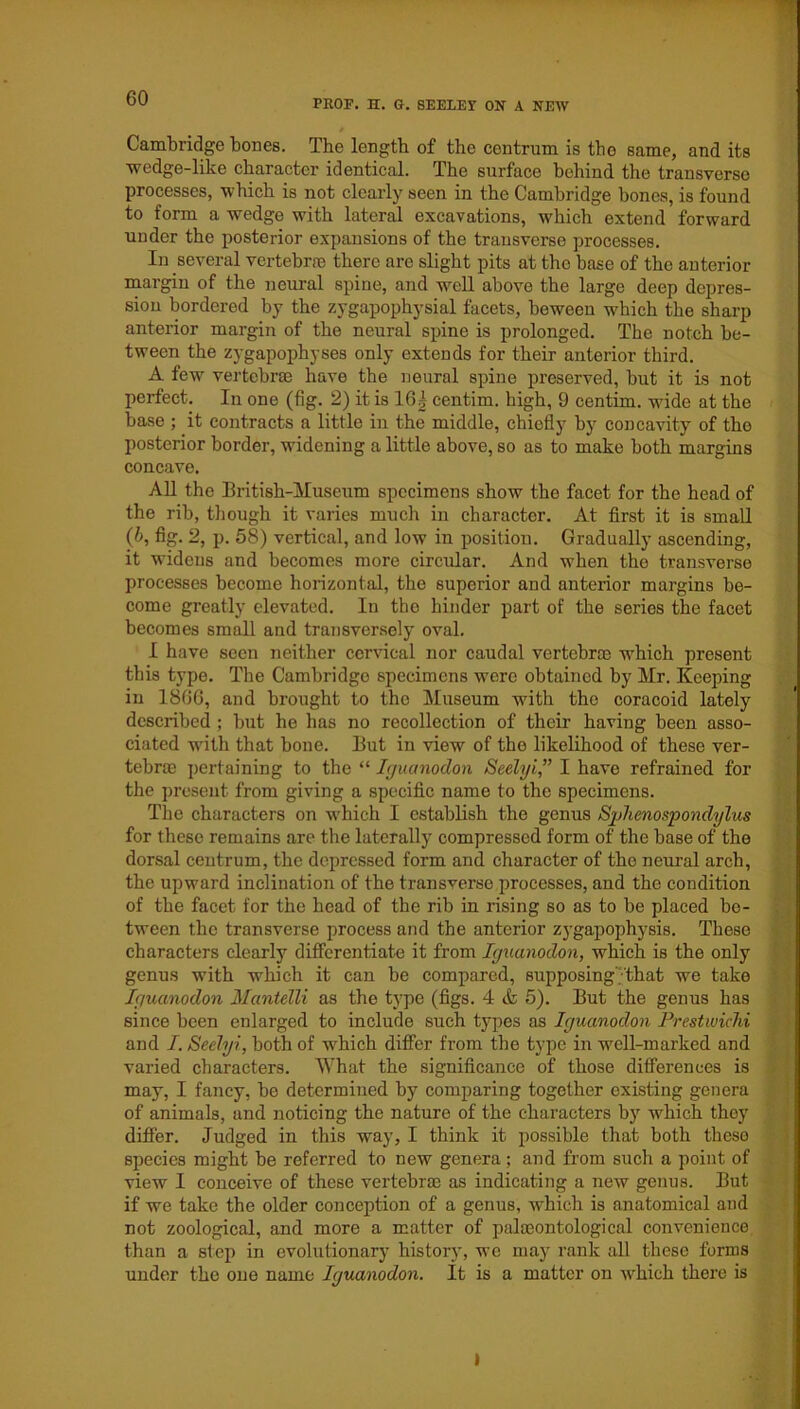 Cambridge bones. The length of the centrum is tho same, and its wedge-like character identical. The surface behind the transverse processes, which is not clearly seen in the Cambridge bones, is found to form a wedge with lateral excavations, which extend forward under the posterior expansions of the transverse processes. In several vertebras there are slight pits at tho base of the anterior margin of the neural spine, and well above the large deep depres- sion bordered by the zygapophysial facets, beween which the sharp anterior margin of the neural spine is prolonged. The notch be- tween the zygapophyses only extends for their anterior third. A few vertebrae have the neural spine preserved, but it is not perfect. In one (fig. 2) it is 16 £ centim. high, 9 centim. wide at the base ; it contracts a little in the middle, chiefly by concavity of tho posterior border, widening a little above, so as to make both margins concave. All the British-Museum specimens show the facet for the head of the rib, though it varies much in character. At first it is small (6, fig. 2, p. 58) vertical, and low in position. Gradually ascending, it widens and becomes more circular. And when the transverse processes become horizontal, the superior and anterior margins be- come greatly elevated. In the hinder part of the series the facet becomes small and transversely oval. I have seen neither cervical nor caudal vertebra) which present this type. The Cambridge specimens were obtained by Mr. Keeping in 1866, and brought to the Museum with the coracoid lately described ; but he has no recollection of their having been asso- ciated with that bone. But in view of the likelihood of these ver- tebra) pertaining to the “ Iguanodon Seely! ” I have refrained for the present from giving a specific name to the specimens. The characters on which I establish the genus Sphenospondylus for these remains are the laterally compressed form of the base of the dorsal centrum, the depressed form and character of the neural arch, the upward inclination of the transverse processes, and the condition of the facet for the head of the rib in rising so as to be placed be- tween the transverse process and the anterior zygapophysis. These characters clearly differentiate it from Iguanodon, which is the only genus with which it can be compared, supposing'/that we take Iguanodon Mantelli as the type (figs. 4 & 5). But the genus has since been enlarged to include such types as Iguanodon Prestwichi and I. Seely!, both of which differ from the type in well-marked and varied characters. What the significance of those differences is may, I fancy, be determined by comparing together existing genera of animals, and noticing the nature of the characters by which they differ. Judged in this way, I think it possible that both these species might be referred to new genera; and from such a point of view I conceive of these vertebrae as indicating a new genus. But if we take the older conception of a genus, which is anatomical and not zoological, and more a matter of pala)ontological convenience than a step in evolutionary history, we may rank all these forms under the one name Iguanodon. It is a matter on which there is I