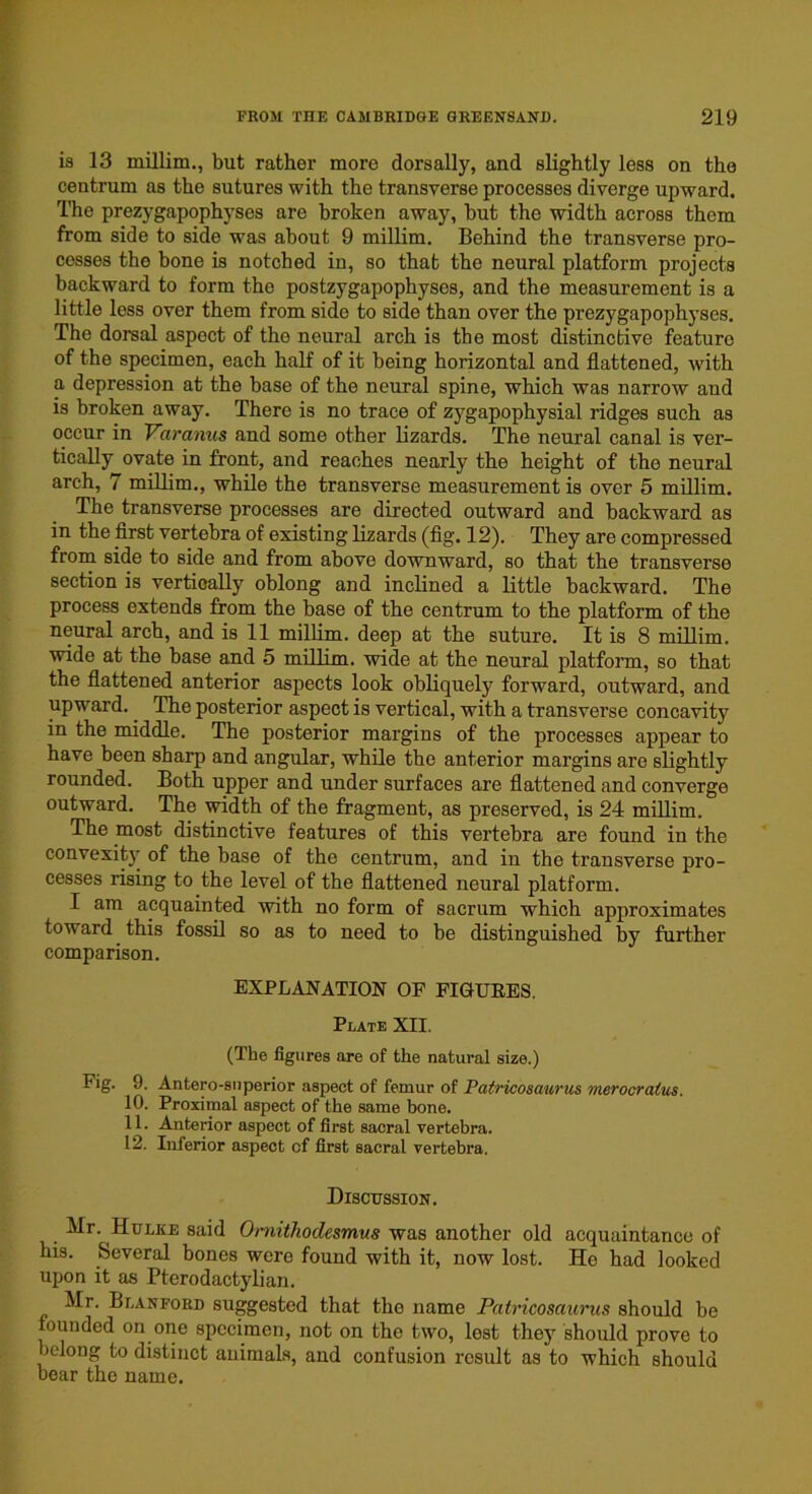 is 13 millim., but rather more dorsally, and slightly less on the centrum as the sutures with the transverse processes diverge upward. The prezygapophyses are broken away, but the width across them from side to side was about 9 millim. Behind the transverse pro- cesses the bone is notched in, so that the neural platform projects backward to form the postzygapophyscs, and the measurement is a little less over them from side to side than over the prezygapophyses. The dorsal aspect of the neural arch is the most distinctive feature of the specimen, each half of it being horizontal and flattened, with a depression at the base of the neural spine, which was narrow and is broken away. There is no trace of zygapophysial ridges such as occur in Varanus and some other lizards. The neural canal is ver- tically ovate in front, and reaches nearly the height of the neural arch, 7 millim., while the transverse measurement is over 5 millim. The transverse processes are directed outward and backward as in the first vertebra of existing lizards (fig. 12). They are compressed from side to side and from above downward, so that the transverse section is vertically oblong and inclined a little backward. The process extends from the base of the centrum to the platform of the neural arch, and is 11 millim. deep at the suture. It is 8 millim. wide at the base and 5 millim. wide at the neural platform, so that the flattened anterior aspects look obliquely forward, outward, and upward. The posterior aspect is vertical, with a transverse concavity in the middle. The posterior margins of the processes appear to have been sharp and angular, while the anterior margins are slightly rounded. Both upper and under surfaces are flattened and converge outward. The width of the fragment, as preserved, is 24 millim. The most distinctive features of this vertebra are found in the convexity of the base of the centrum, and in the transverse pro- cesses rising to the level of the flattened neural platform. I am acquainted with no form of sacrum which approximates toward this fossil so as to need to be distinguished by further comparison. EXPLANATION OF FIGURES. Plate XII. (The figures are of the natural size.) Antero-snperior aspect of femur of Patricosciurus merocralus. Proximal aspect of the same bone. Anterior aspect of first sacral vertebra. Inferior aspect of first sacral vertebra. Discussion. Mr. Hulke said Omithodesmus was another old acquaintance of his. Several bones were found with it, now lost. He had looked upon it as Pterodactylian. Mr. Bi.anford suggested that the name Patricosciurus should be founded on one specimen, not on the two, lest they should prove to belong to distinct animals, and confusion result as to which should bear the name. Fig. 9. 10. 11. 12.