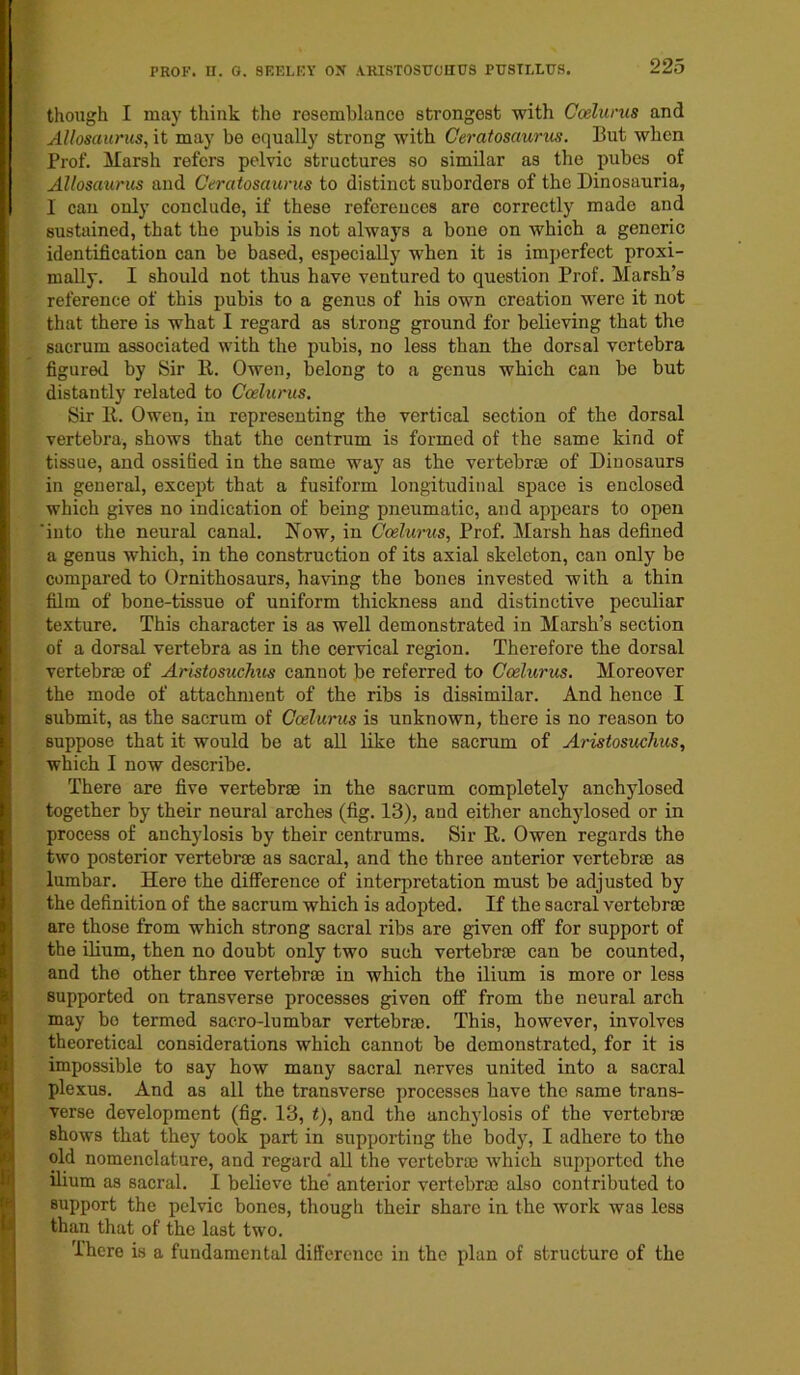 though I may think the resemblunco strongest with Ccelurus and Allosaurus, it may be equally strong with Ceratosciurus. But when Prof. Marsh refers pelvic structures so similar as the pubes of Allosaurus aud Ceratosaurus to distinct suborders of the Dinosauria, I can only conclude, if these references are correctly made and sustained, that the pubis is not always a bone on which a generic identification can be based, especially when it is imperfect proxi- mally. I should not thus have ventured to question Prof. Marsh’s reference of this pubis to a genus of his own creation were it not that there is what I regard as strong ground for believing that the sacrum associated with the pubis, no less than the dorsal vertebra figured by Sir R. Owen, belong to a genus which can be but distantly related to Ccelurus. Sir R. Owen, in representing the vertical section of the dorsal vertebra, shows that the centrum is formed of the same kind of tissue, and ossified in the same way as the vertebrae of Dinosaurs in general, except that a fusiform longitudinal space is enclosed which gives no indication of being pneumatic, and appears to open 'into the neural canal. Now, in Ccelurus, Prof. Marsh has defined a genus which, in the construction of its axial skeleton, can only be compared to Ornithosaurs, having the bones invested with a thin film of bone-tissue of uniform thickness and distinctive peculiar texture. This character is as well demonstrated in Marsh’s section of a dorsal vertebra as in the cervical region. Therefore the dorsal vertebrae of Aristosuchus cannot be referred to Ccelurus. Moreover the mode of attachment of the ribs is dissimilar. And hence I submit, as the sacrum of Ccelurus is unknown, there is no reason to suppose that it would be at all like the sacrum of Aristosuchus, which I now describe. There are five vertebrae in the sacrum completely anchylosed together by their neural arches (fig. 13), and either anchylosed or in process of anchylosis by their centrums. Sir R. Owen regards the two posterior vertebrae as sacral, and the three anterior vertebrae as lumbar. Here the difference of interpretation must be adjusted by the definition of the sacrum which is adopted. If the sacral vertebrae are those from which strong sacral ribs are given off for support of the ilium, then no doubt only two such vertebrae can be counted, and the other three vertebrae in which the ilium is more or less supported on transverse processes given off from the neural arch may bo termed saero-lumbar vertebrae. This, however, involves theoretical considerations which cannot be demonstrated, for it is impossible to say how many sacral nerves united into a sacral plexus. And as all the transverse processes have the same trans- verse development (fig. 13, t), and the anchylosis of the vertebrae shows that they took part in supporting the body, I adhere to tho old nomenclature, and regard all the vertebrae which supported the ilium as sacral. I believe the’ anterior vertebrae also contributed to support the pelvic bones, though their share in the work was less than that of the last two. There is a fundamental difference in the plan of structure of the