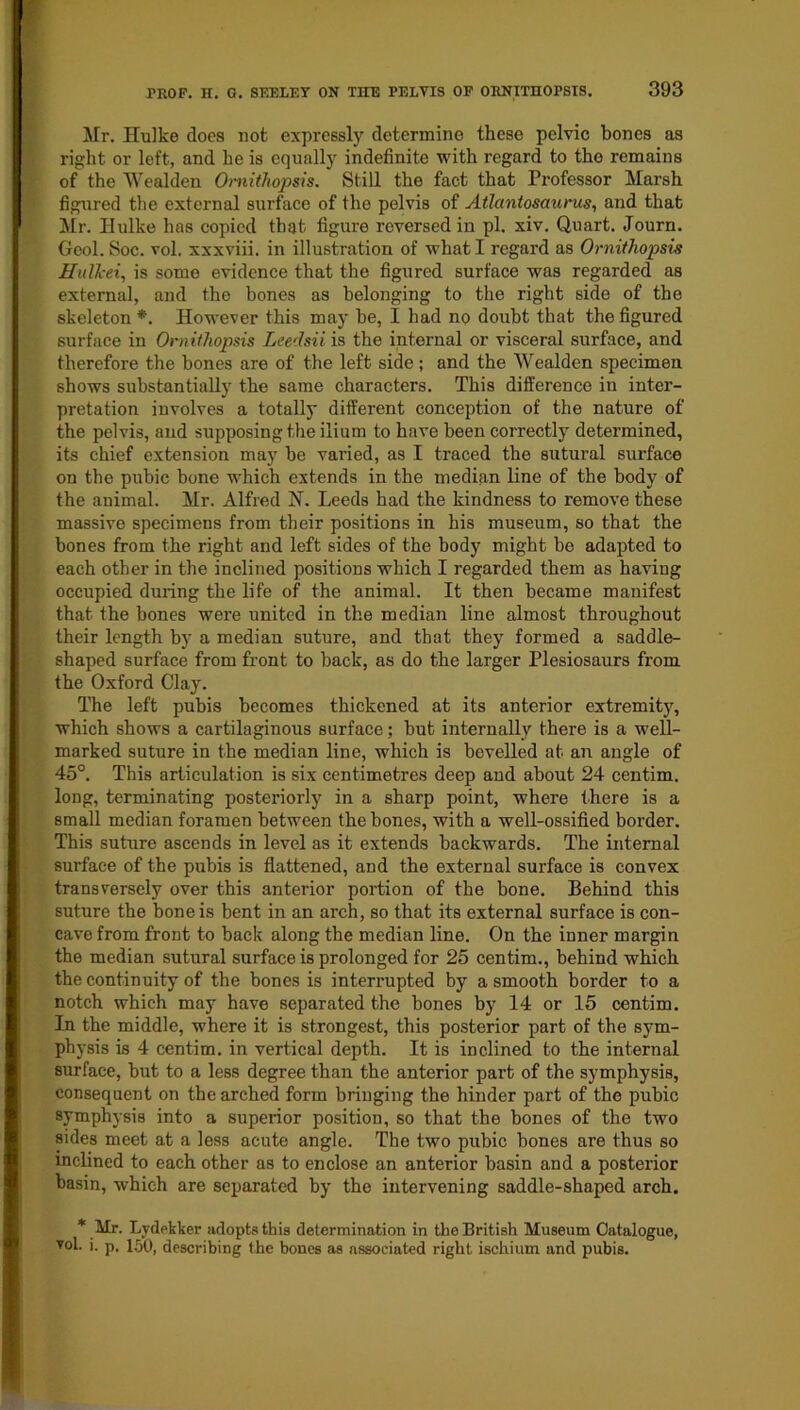 Mr. ITulke does not expressly determine these pelvic bones as right or left, and he is equally indefinite with regard to the remains of the Wealden Ornithopsis. Still the fact that Professor Marsh figured the external surface of the pelvis of Atlantosaurus, and that Mr. Hulke has copied that figure reversed in pi. xiv. Quart. Journ. Geol. Soc. vol. xxxviii. in illustration of what I regard as Ornithopsis Hullcei, is some evidence that the figured surface was regarded as external, and the bones as belonging to the right side of the skeleton *. However this may he, I had no doubt that the figured surface in Ornithopsis Leedsii is the internal or visceral surface, and therefore the bones are of the left side; and the Wealden specimen shows substantially the same characters. This difference in inter- pretation involves a totally different conception of the nature of the pelvis, and supposing the ilium to have been correctly determined, its chief extension may he varied, as I traced the sutural surface on the pubic bone which extends in the median line of the body of the animal. Mr. Alfred N. Leeds had the kindness to remove these massive specimens from their positions in his museum, so that the bones from the right and left sides of the body might he adapted to each other in the inclined positions which I regarded them as having occupied during the life of the animal. It then became manifest that the bones were united in the median line almost throughout their length by a median suture, and that they formed a saddle- shaped surface from front to hack, as do the larger Plesiosaurs from the Oxford Clay. The left pubis becomes thickened at its anterior extremity, which shows a cartilaginous surface; hut internally there is a well- marked suture in the median line, which is bevelled at an angle of 45°. This articulation is six centimetres deep and about 24 centim. long, terminating posteriorly in a sharp point, where there is a small median foramen between the bones, with a well-ossified border. This suture ascends in level as it extends backwards. The internal surface of the pubis is flattened, and the external surface is convex transversely over this anterior portion of the bone. Behind this suture the bone is bent in an arch, so that its external surface is con- cave from front to back along the median line. On the inner margin the median sutural surface is prolonged for 25 centim., behind which the continuity of the bones is interrupted by a smooth border to a notch which may have separated the bones by 14 or 15 centim. In the middle, where it is strongest, this posterior part of the sym- physis is 4 centim. in vertical depth. It is inclined to the internal surface, but to a less degree than the anterior part of the symphysis, consequent on the arched form bringing the hinder part of the pubic symphysis into a superior position, so that the bones of the two sides meet at a less acute angle. The two pubic bones are thus so inclined to each other as to enclose an anterior basin and a posterior basin, which are separated by the intervening saddle-shaped arch. * Mr. Lydekker adopts this determination in the British Museum Catalogue, vol. i. p. 150, describing the bones as associated right ischium and pubis.