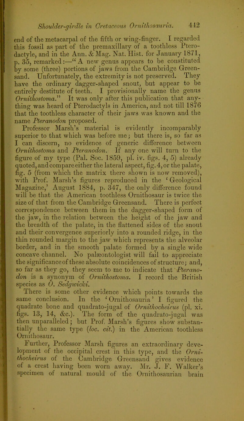 end of the metacarpal of the fifth or wing-finger. I regarded this fossil as part of the premaxillary of a toothless Ptero- dactyle, and in the Ann. & Mag. Nat. Hist, for January 1871, p. 35, remarked:—“ A new genus appears to be constituted by some (three) portions of jaws from the Cambridge Green- sand. Unfortunately, the extremity is not preserved. They have the ordinary dagger-shaped snout, but appear to be entirely destitute of teeth. I provisionally name the genus Ornithostoma.” It was only after this publication that any- thing was heard of Pterodactyls in America, and not till 1876 that the toothless character of their jaws was known and the name Pteranodon proposed. Professor Marsh’s material is evidently incomparably superior to that which was before me; but there is, so far as I can discern, no evidence of generic difference between Ornithostoma and Pteranodon. If any one will turn to the figure of my type (Pal. Soc. 1859, pi. iv. figs. 4, 5) already quoted, and compare either the lateral aspect, fig. 4, or the palate, fig. 5 (from which the matrix there shown is now removed), with Prof. Marsh’s figures reproduced in the ‘ Geological Magazine,’ August 1884, p. 347, the only difference found will be that the American toothless Ornithosaur is twice the size of that from the Cambridge Greensand. There is perfect correspondence between them in the dagger-shaped form of the jaw, in the relation between the height of the jaw and the breadth of the palate, in the flattened sides of the snout and their convergence superiorly into a rounded ridge, in the thin rounded margin to the jaw which represents the alveolar border, and in the smooth palate formed by a single wide concave channel. No paleontologist will fail to appreciate the significance of these absolute coincidences of structure; and, so far as they go, they seem to me to indicate that Pterano- don is a synonym of Ornithostoma. I record the British species as 0. SedgwicJei. There is some other evidence which points towards the same conclusion. In the 1 Ornithosauria ’ I figured the quadrate bone and quadrato-jugal of Ornithocheirus (pi. xi. figs. 13, 14, &c.). The form of the quadrato-jugal was then unparalleled; but Prof, Marsh’s figures show substan- tially the same type (loc. cit.) in the American toothless Ornithosaur. Further, Professor Marsh figures an extraordinary deve- lopment of the occipital crest in this type, and the Orni- thocheirus of the Cambridge Greensand gives evidence of a, crest having been worn away. Mr. J. F. Walker’s specimen of natural mould of the Ornithosaurian brain