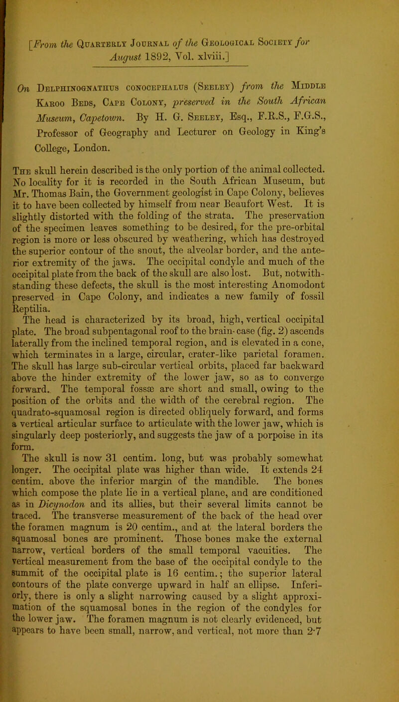 [From the Quarterly Journal of the Geological Society for August 1892, Vol. xlviii.] On Delpiiinognathus conocepiialus (Seeley) from the Middle Karoo Beds, Cape Colony, preserved in the South African Museum, Capetown. By H. G. Seeley, Esq., F.B.S., F.G.S., Professor of Geography and Lecturor on Geology in King’s College, London. The skull herein described is the only portion of the animal collected. No locality for it is recorded in the South African Museum, but Mr. Thomas Bain, the Government geologist in Cape Colony, believes it to have been collected by himself from near Beaufort West. It is slightly distorted with the folding of the strata. The preservation of the specimen leaves something to be desired, for the pre-orbital region is more or less obscured by weathering, which has destroyed the superior contour of the snout, the alveolar border, and the ante- rior extremity of the jaws. The occipital condyle and much of the occipital plate from the back of the skull are also lost. But, notwith- standing these defects, the skull is the most interesting Anomodont preserved in Cape Colony, and indicates a new family of fossil Reptilia. The head is characterized by its broad, high, vertical occipital plate. The broad subpentagonal roof to the brain- case (fig. 2) ascends laterally from the inclined temporal region, and is elevated in a cone, which terminates in a large, circular, crater-like parietal foramen. The skull has large sub-circular vertical orbits, placed far backward above the hinder extremity of the lower jaw, so as to converge forward. The temporal fossse are short and small, owing to the position of the orbits and the width of the cerebral region. The quadrato-squamosal region is directed obliquely forward, and forms a vertical articular surface to articulate with the lower jaw, which is singularly deep posteriorly, and suggests the jaw of a porpoise in its form. The skull is now 31 centim. long, but was probably somewhat longer. The occipital plate was higher than wide. It extends 24 centim. above the inferior margin of the mandible. The bones which compose the plate lie in a vertical plane, and are conditioned as in Dicynodon and its allies, but their several limits cannot be traced. The transverse measurement of the back of the head over the foramen magnum is 20 centim., and at the lateral borders the squamosal bones are prominent. Those bones make the external narrow, vertical borders of the small temporal vacuities. The vertical measurement from the base of the occipital condyle to the Summit of the occipital plate is 16 centim.; the superior lateral contours of the plate converge upward in half an ellipse. Inferi- orly, there is only a slight narrowing caused by a slight approxi- mation of the squamosal bones in the region of the condyles for the lower jaw. The foramen magnum is not clearly evidenced, but appears to have been small, narrow, and vertical, not more than 2-7