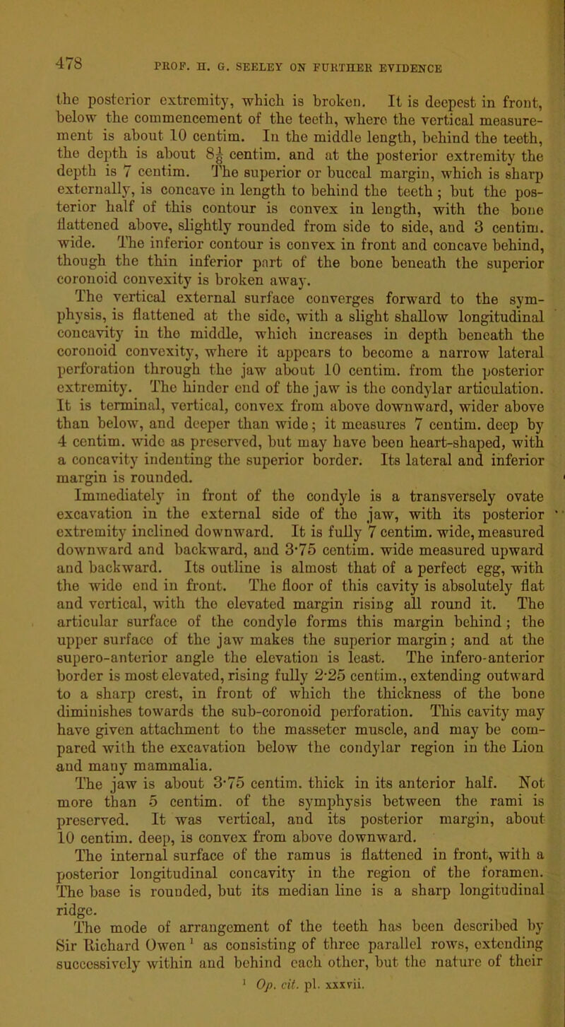 the posterior extremity, which is broken. It is deepest in front, below the commencement of the teeth, where the vertical measure- ment is about 10 centim. In the middle length, behind the teeth, the depth is about 8g centim. and at the posterior extremity the depth is 7 centim. The superior or buccal margin, which is sharp externally, is concave in length to behind the teeth ; but the pos- terior half of this contour is convex in leugth, with the bone flattened above, slightly rounded from side to side, and 3 centim. wide. The inferior contour is convex in front and concave behind, though the thin inferior part of the bone beueath the superior coronoid convexity is broken away. The vertical external surface converges forward to the sym- physis, is flattened at the side, with a slight shallow longitudinal concavity in the middle, which increases in depth beneath the coronoid convexity, where it appears to become a narrow lateral perforation through the jaw about 10 centim. from the posterior extremity. The hinder end of the jaw is the condylar articulation. It is terminal, vortical, convex from above downward, wider above than below, and deeper than wide; it measures 7 centim. deep by 4 centim. wide as preserved, but may have been heart-shaped, with a concavity indenting the superior border. Its lateral and inferior margin is rounded. Immediately in front of the condyle is a transversely ovate excavation in the external side of the jaw, with its posterior extremity inclined downward. It is fully 7 centim. wide, measured downward and backward, and 3*75 centim. wide measured upward and backward. Its outline is almost that of a perfect egg, with the wido end in front. The floor of this cavity is absolutely flat and vertical, with the elevated margin rising all round it. The articular surface of the condyle forms this margin behind; the upper surface of the jaw makes the superior margin; and at the supero-anterior angle the elevation is least. The infero-anterior border is most elevated, rising fully 2-25 centim., extending outward to a sharp crest, in front of which the thickness of the bone diminishes towards the sub-coronoid perforation. This cavity may have given attachment to the masseter muscle, and may be com- pared with the excavation below the condylar region in the Lion and many mammalia. The jaw is about 3-75 centim. thick in its anterior half. Not more than 5 centim. of the symphysis between the rami is preserved. It was vertical, and its posterior margin, about 10 centim. deep, is convex from above downward. The internal surface of the ramus is flattened in front, with a posterior longitudinal concavity in the region of the foramen. The base is rounded, but its median lino is a sharp longitudinal ridge. The mode of arrangement of the teeth has been described by Sir Richard Owen 1 as consisting of three parallel rows, extending successively within and behind each other, but the nature of their 1 Op. cit. pi. xxxvii.