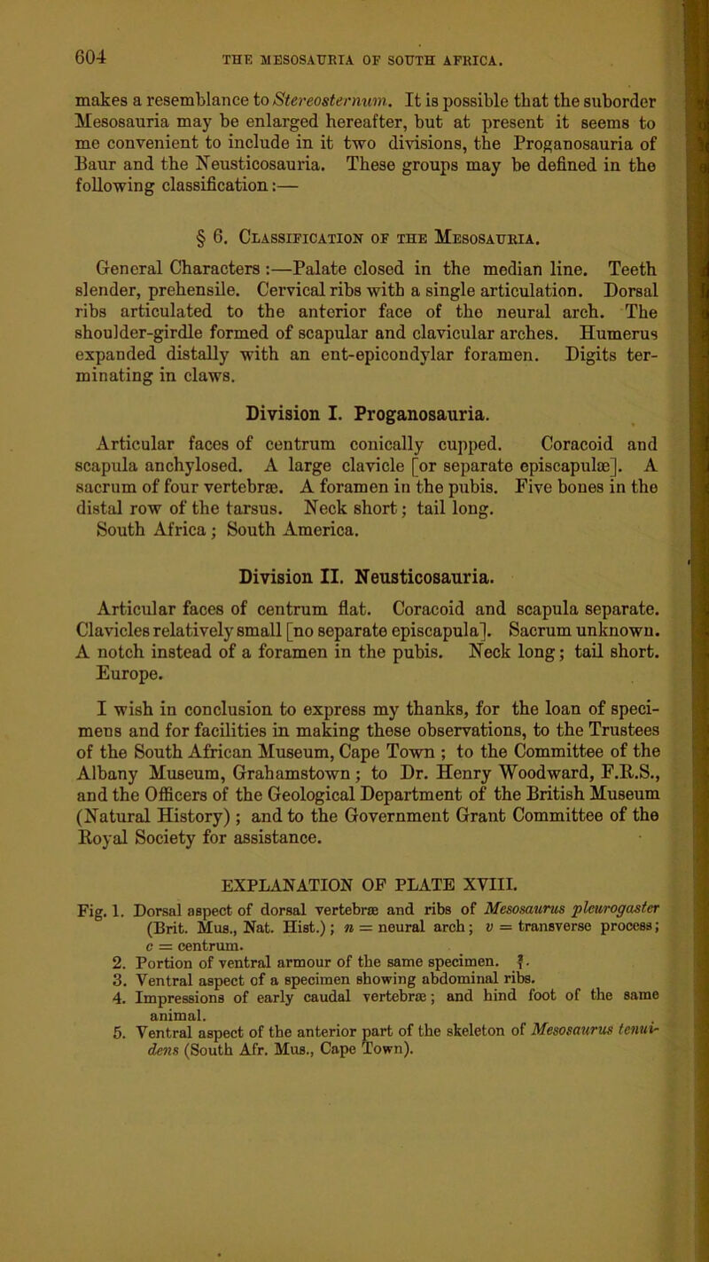 makes a resemblance to Stereosternum. It is possible that the suborder Mesosauria may be enlarged hereafter, but at present it seems to me convenient to include in it two divisions, the Proganosauria of Baur and the Neusticosauria. These groups may be defined in the following classification:— § 6. Classification of the Mesosauria. General Characters :—Palate closed in the median line. Teeth slender, prehensile. Cervical ribs with a single articulation. Dorsal ribs articulated to the anterior face of the neural arch. The shoulder-girdle formed of scapular and clavicular arches. Humerus expanded distally with an ent-epicondylar foramen. Digits ter- minating in claws. Division I. Proganosauria. Articular faces of centrum conically cupped. Coracoid and scapula anchylosed. A large clavicle [or separate episcapulce]. A sacrum of four vertebra?. A foramen in the pubis. Five bones in the distal row of the tarsus. Neck short; tail long. South Africa; South America. Division II. Neusticosauria. Articular faces of centrum flat. Coracoid and scapula separate. Clavicles relatively small [no separate episcapula]. Sacrum unknown. A notch instead of a foramen in the pubis. Neck long; tail short. Europe. I wish in conclusion to express my thanks, for the loan of speci- mens and for facilities in making these observations, to the Trustees of the South African Museum, Cape Town ; to the Committee of the Albany Museum, Grahamstown; to Dr. Henry Woodward, F.R.S., and the Officers of the Geological Department of the British Museum (Natural History); and to the Government Grant Committee of the Iloyal Society for assistance. EXPLANATION OP PLATE XVIII. Fig. 1. Dorsal aspect of dorsal vertebrse and ribs of Mesosaurus •plcurogaster (Brit. Mus., Nat. Hist.); n = neural arch; a = transverse process; c = centrum. 2. Portion of ventral armour of the same specimen. |. 3. Ventral aspect of a specimen showing abdominal ribs. 4. Impressions of early caudal vertebrse; and hind foot of the same animal. 5. Ventral aspect of the anterior part of the skeleton of Mesosaurus tenuir dens (South Afr. Mus., Cape Town).